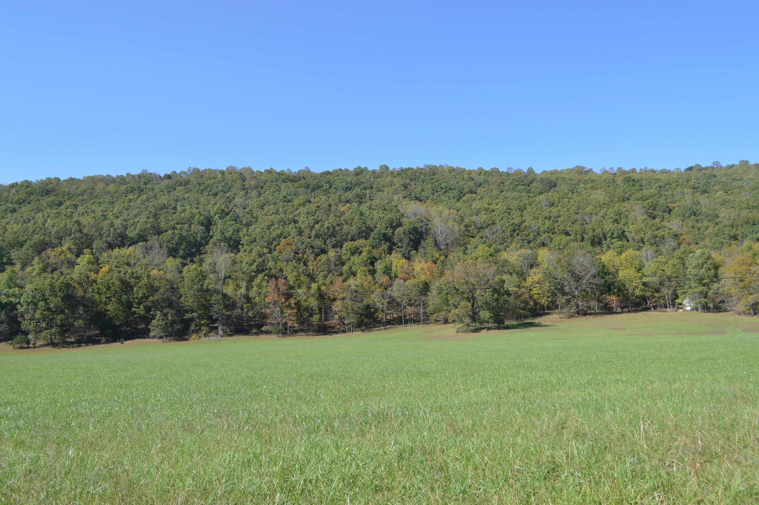 038 Johns Creek Road E