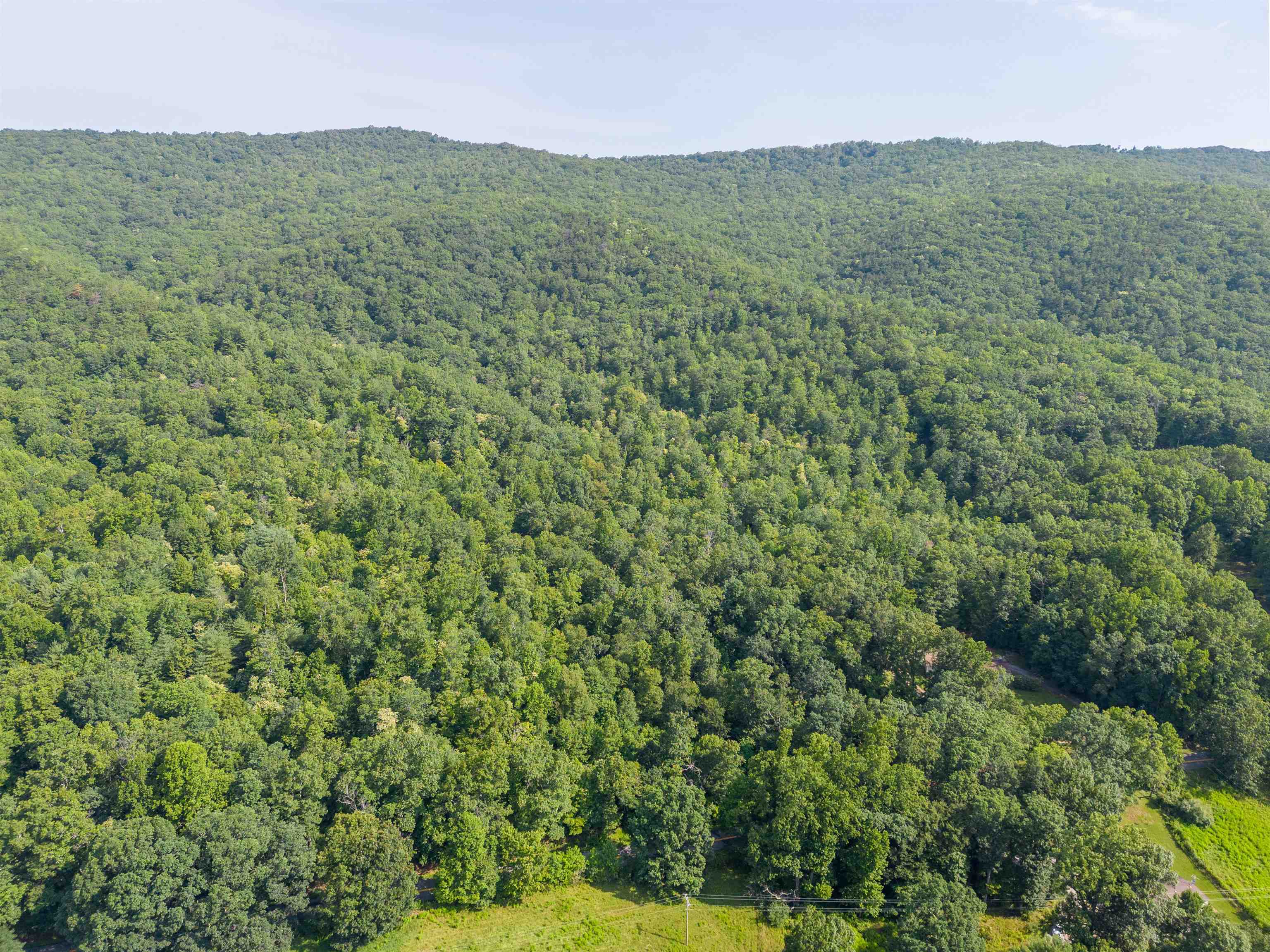 TBD 25 Acres Mt. Tabor Road
