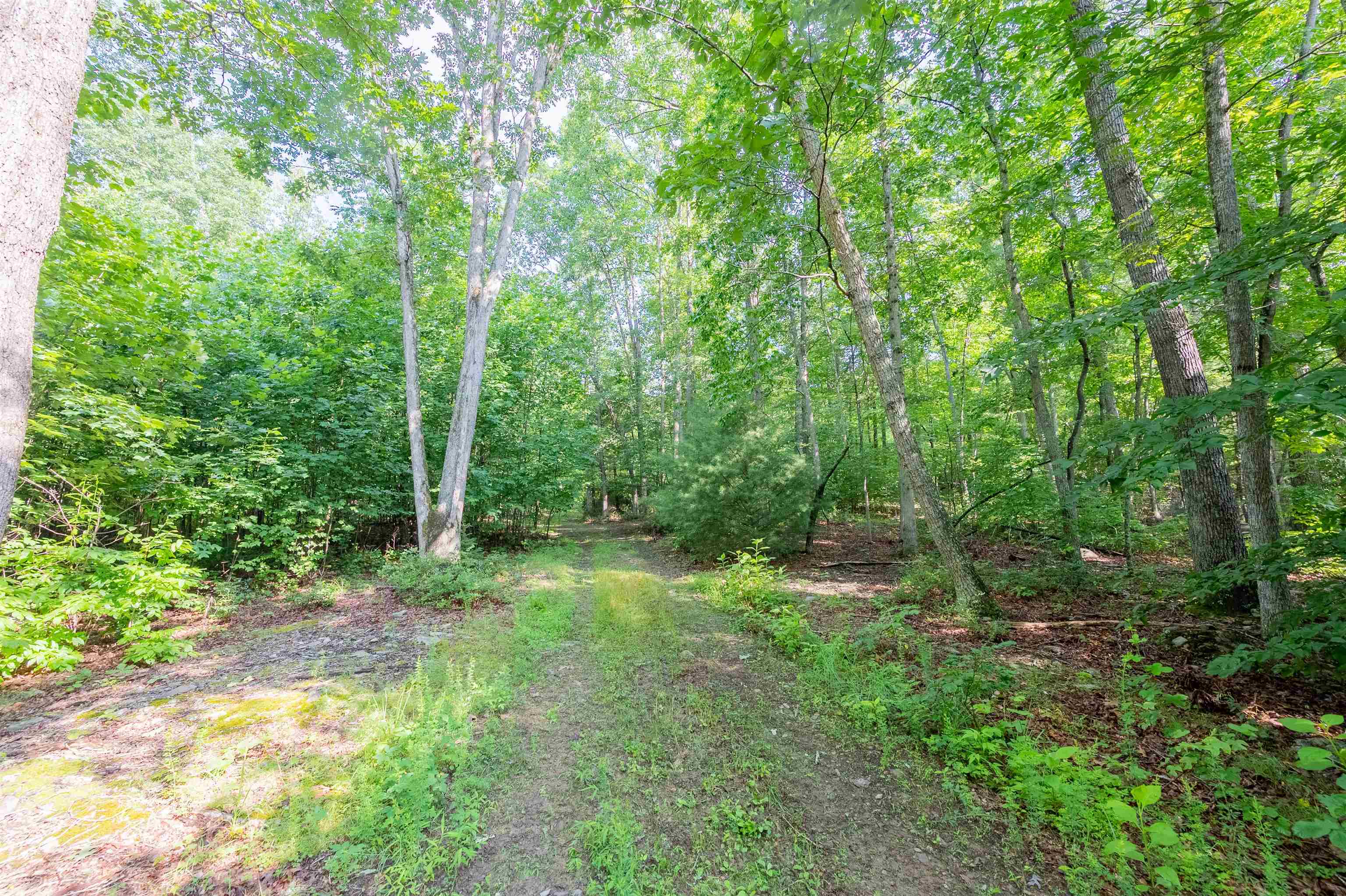 TBD 25 Acres Mt. Tabor Road