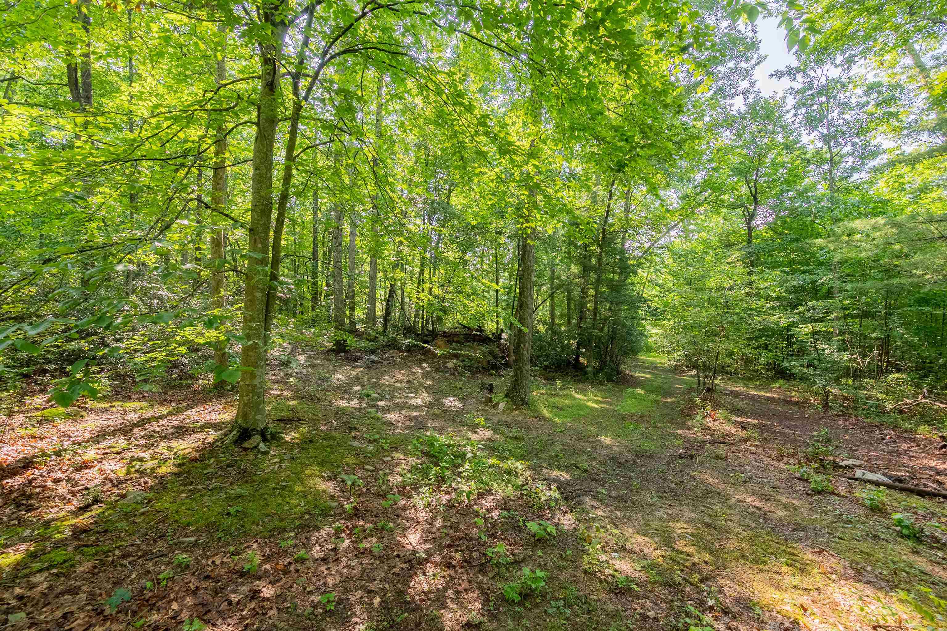 TBD 25 Acres Mt. Tabor Road