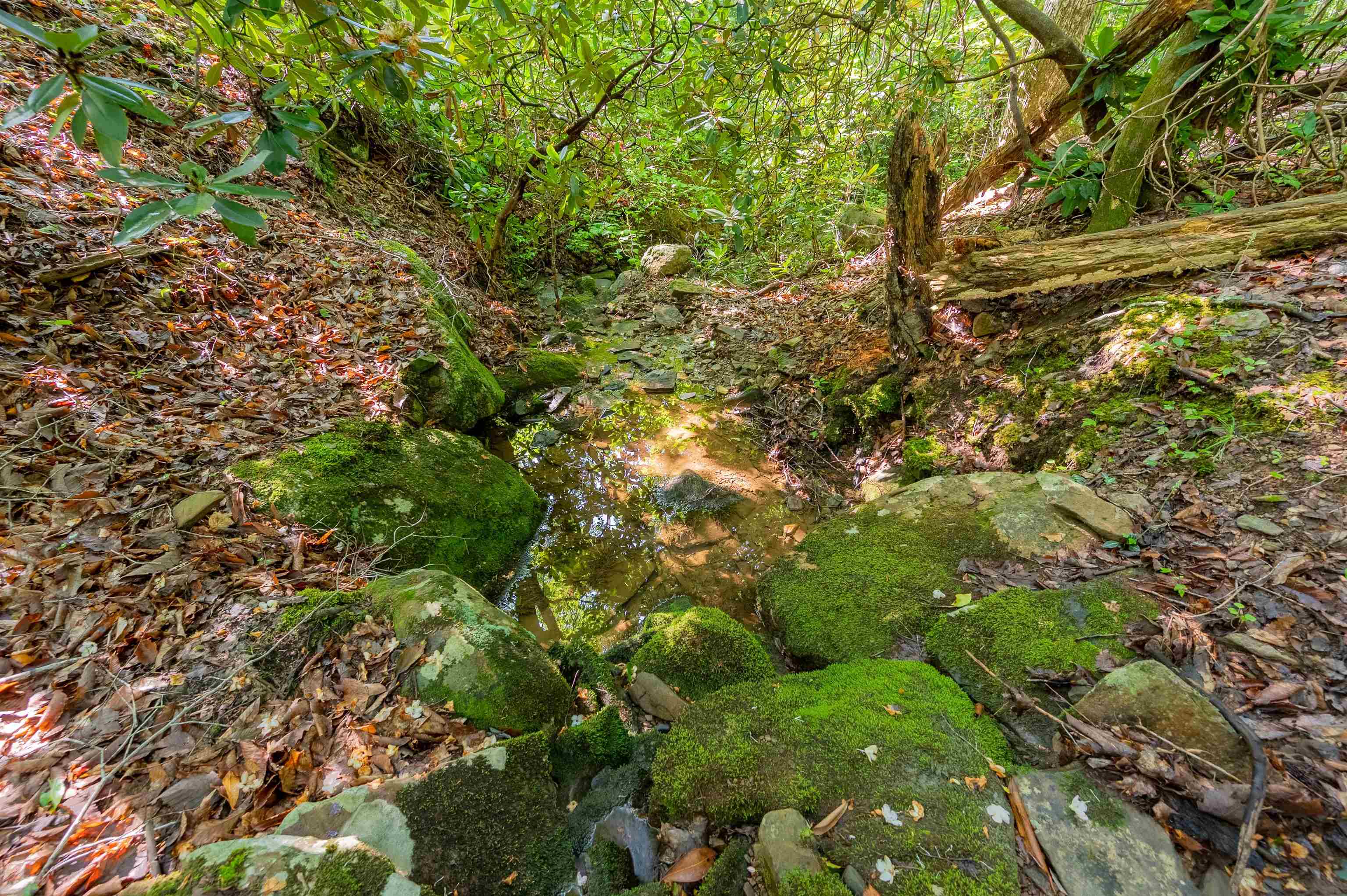 TBD 25 Acres Mt. Tabor Road