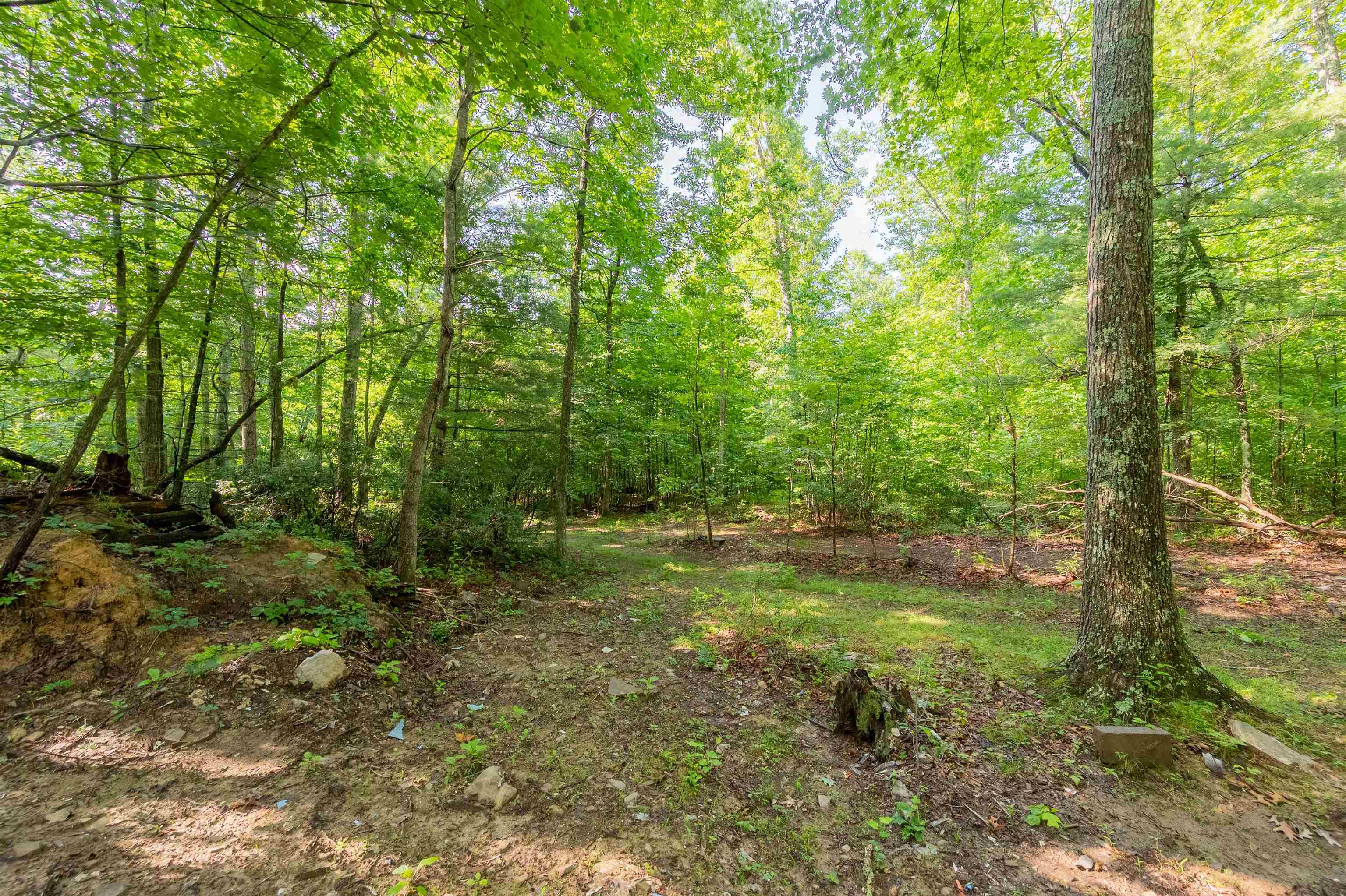 TBD 25 Acres Mt. Tabor Road