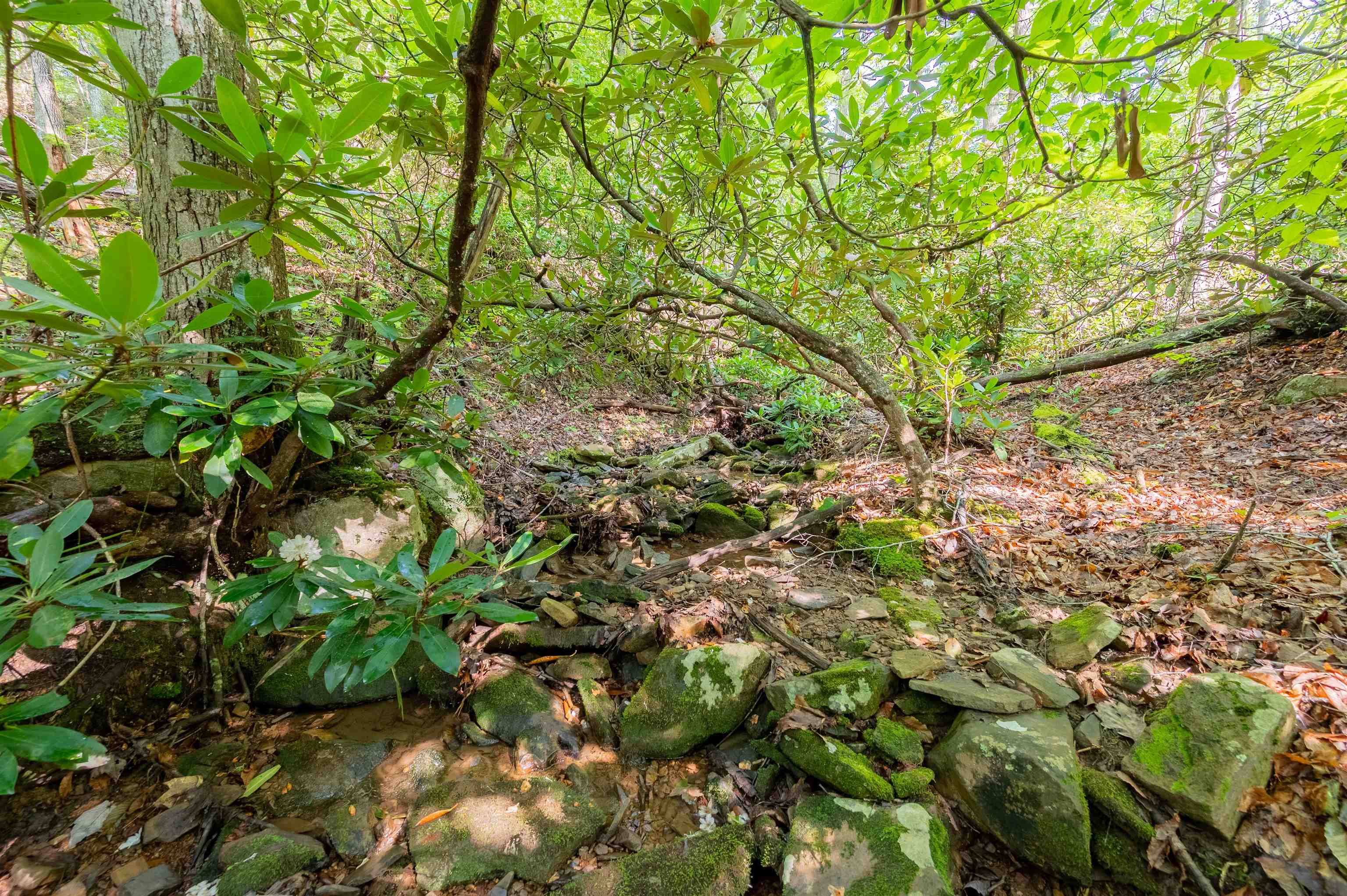TBD 25 Acres Mt. Tabor Road