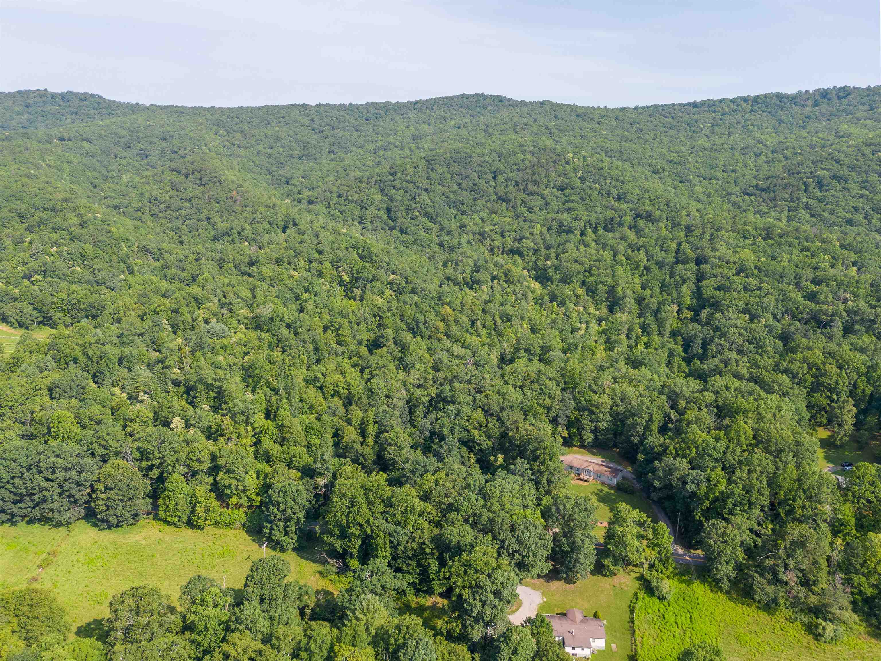 TBD 25 Acres Mt. Tabor Road