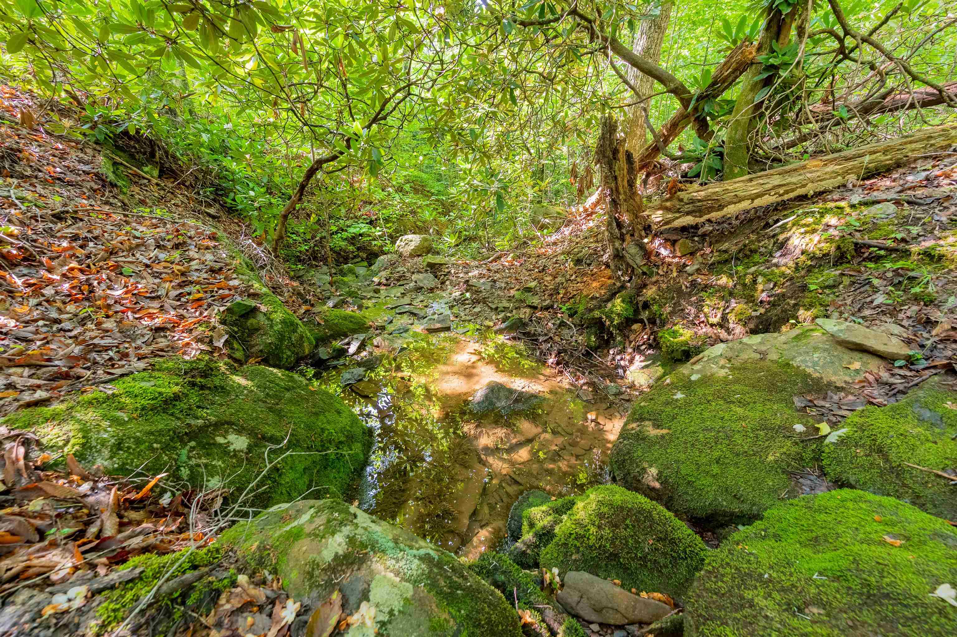 TBD 25 Acres Mt. Tabor Road