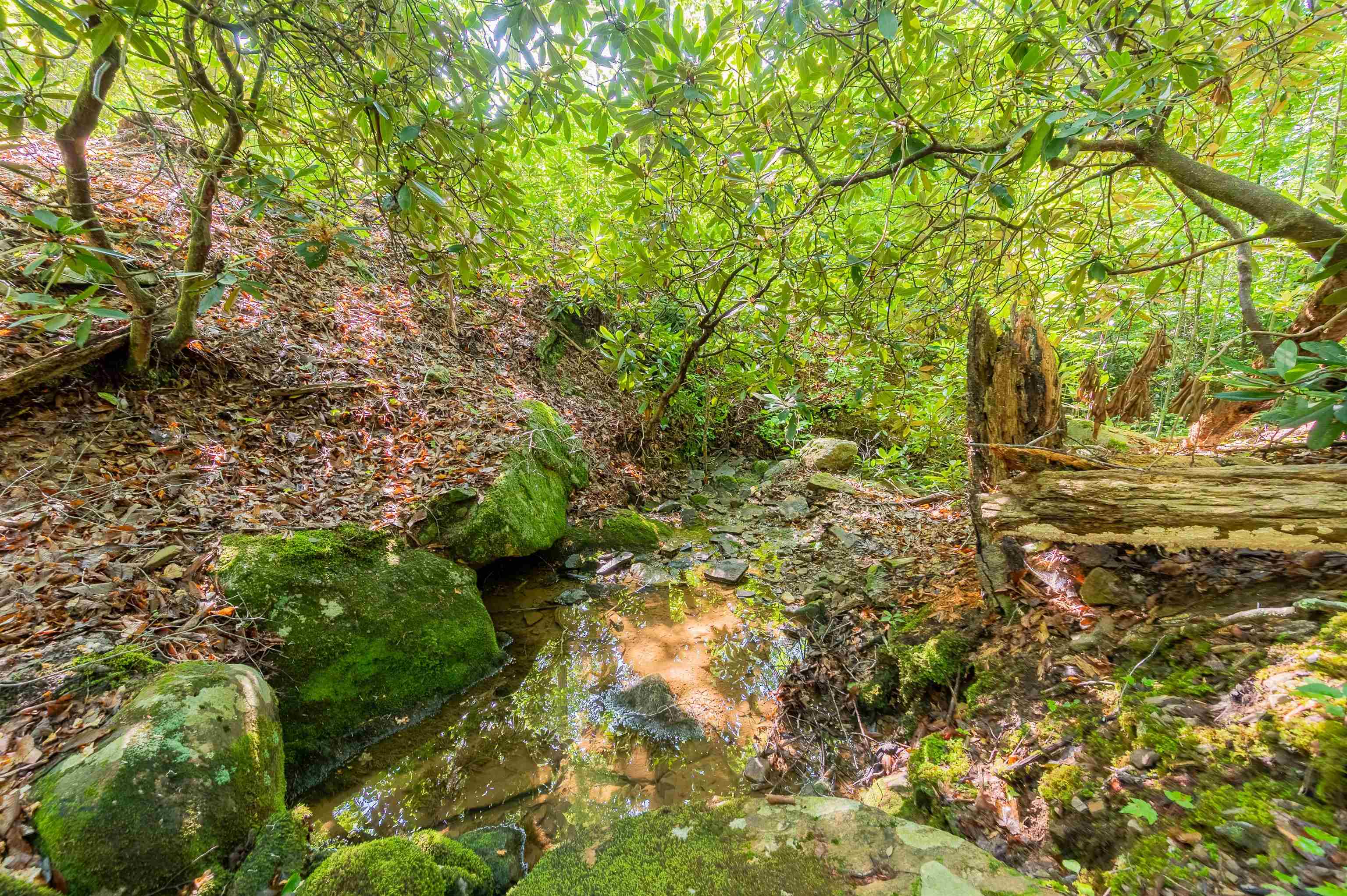 TBD 25 Acres Mt. Tabor Road