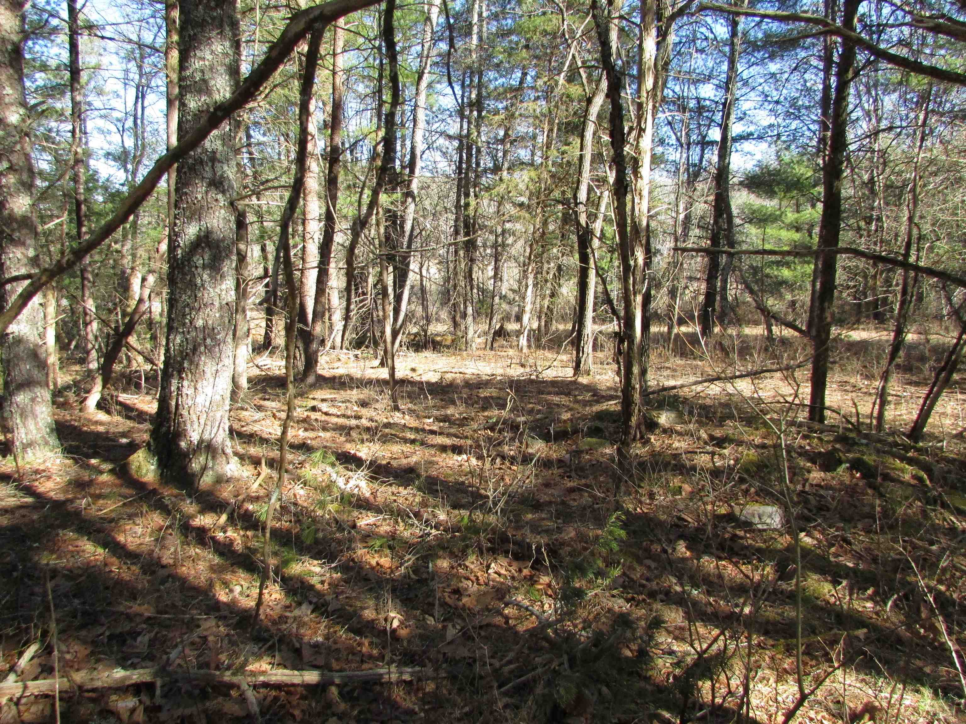 4266 Craig Creek Road