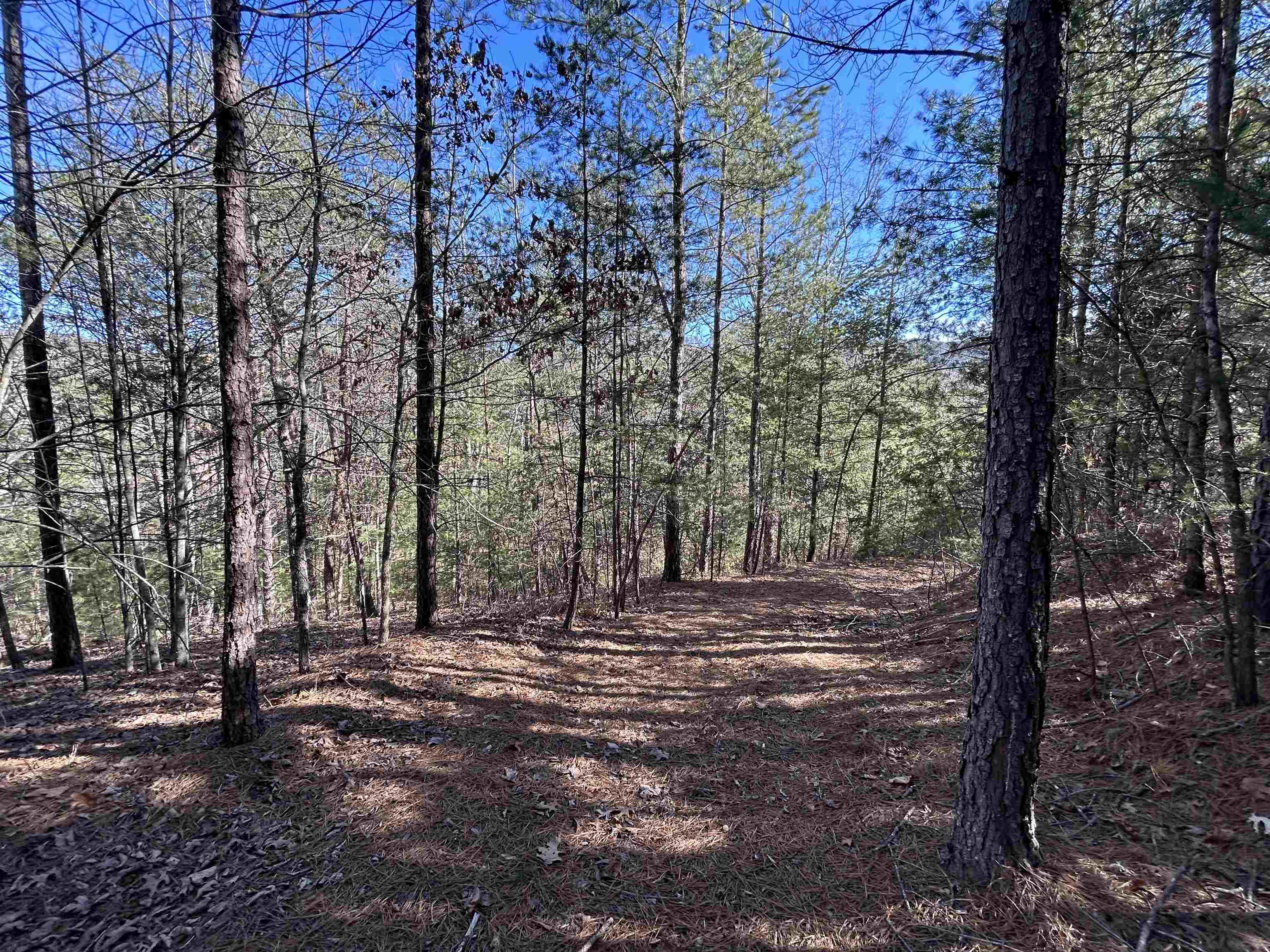 4266 Craig Creek Road