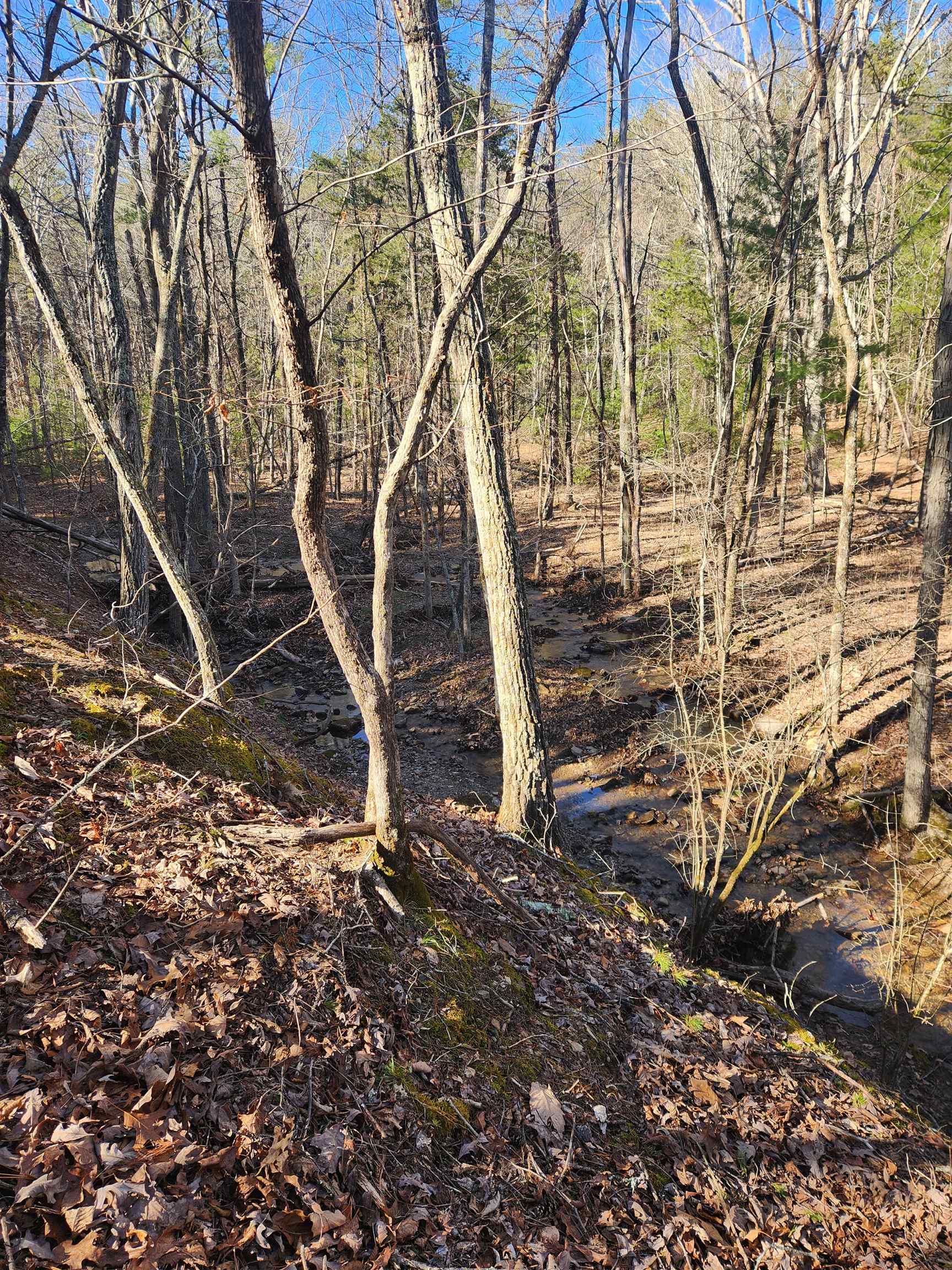 4266 Craig Creek Road