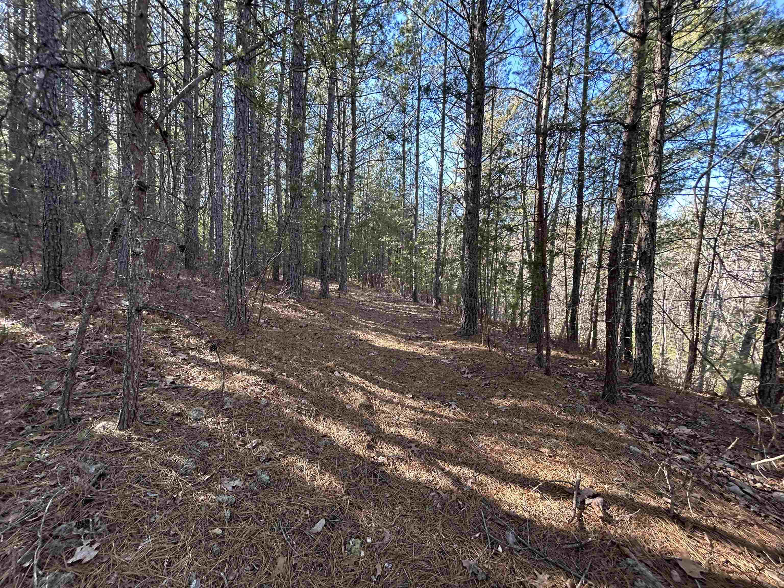 4266 Craig Creek Road