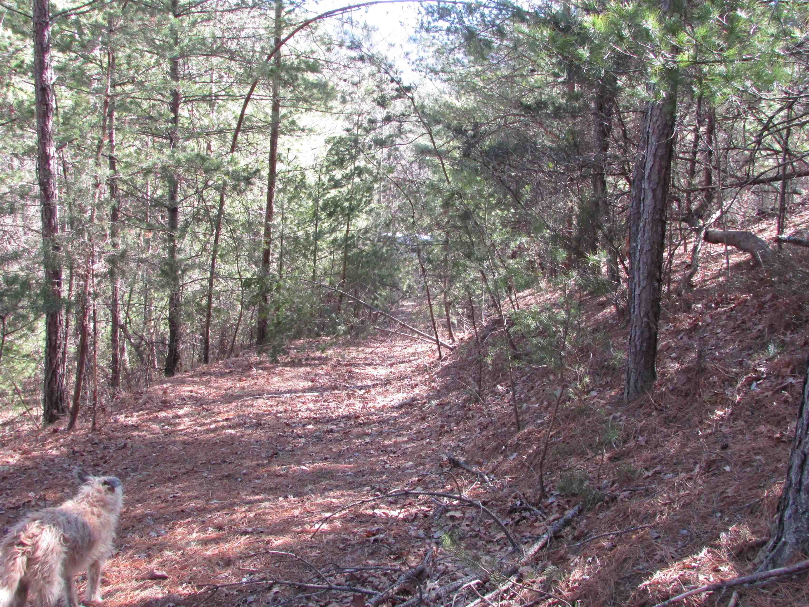 4266 Craig Creek Road