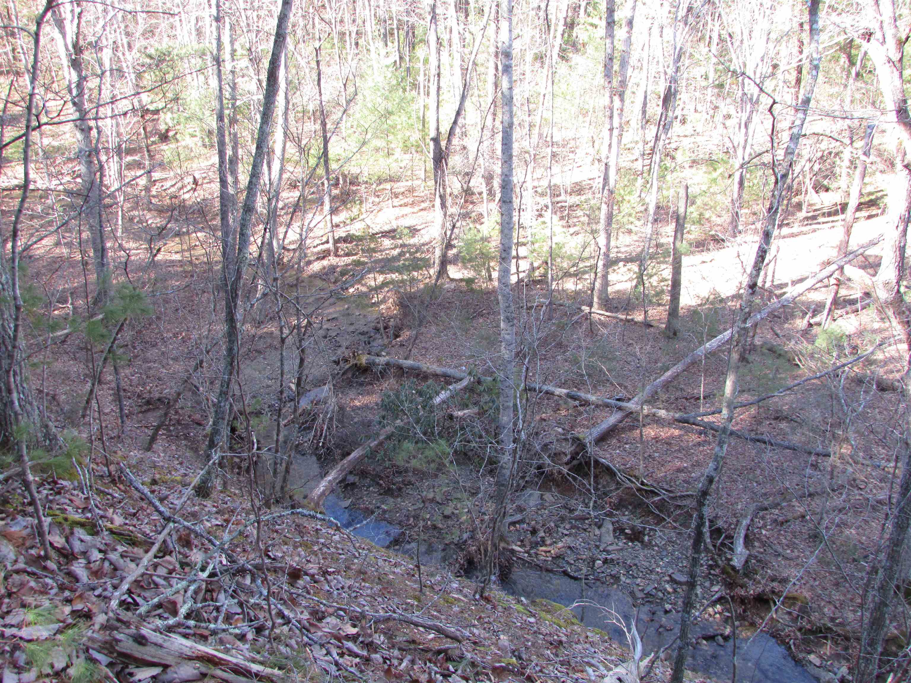 4266 Craig Creek Road