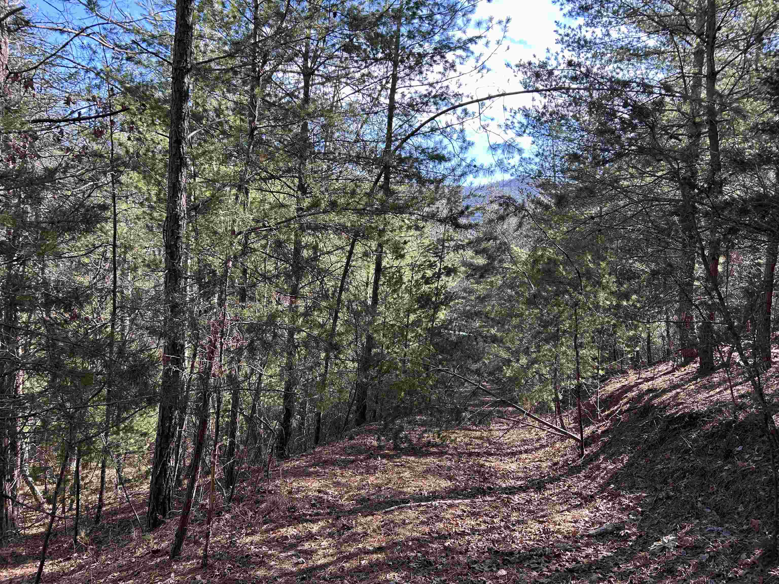 4266 Craig Creek Road