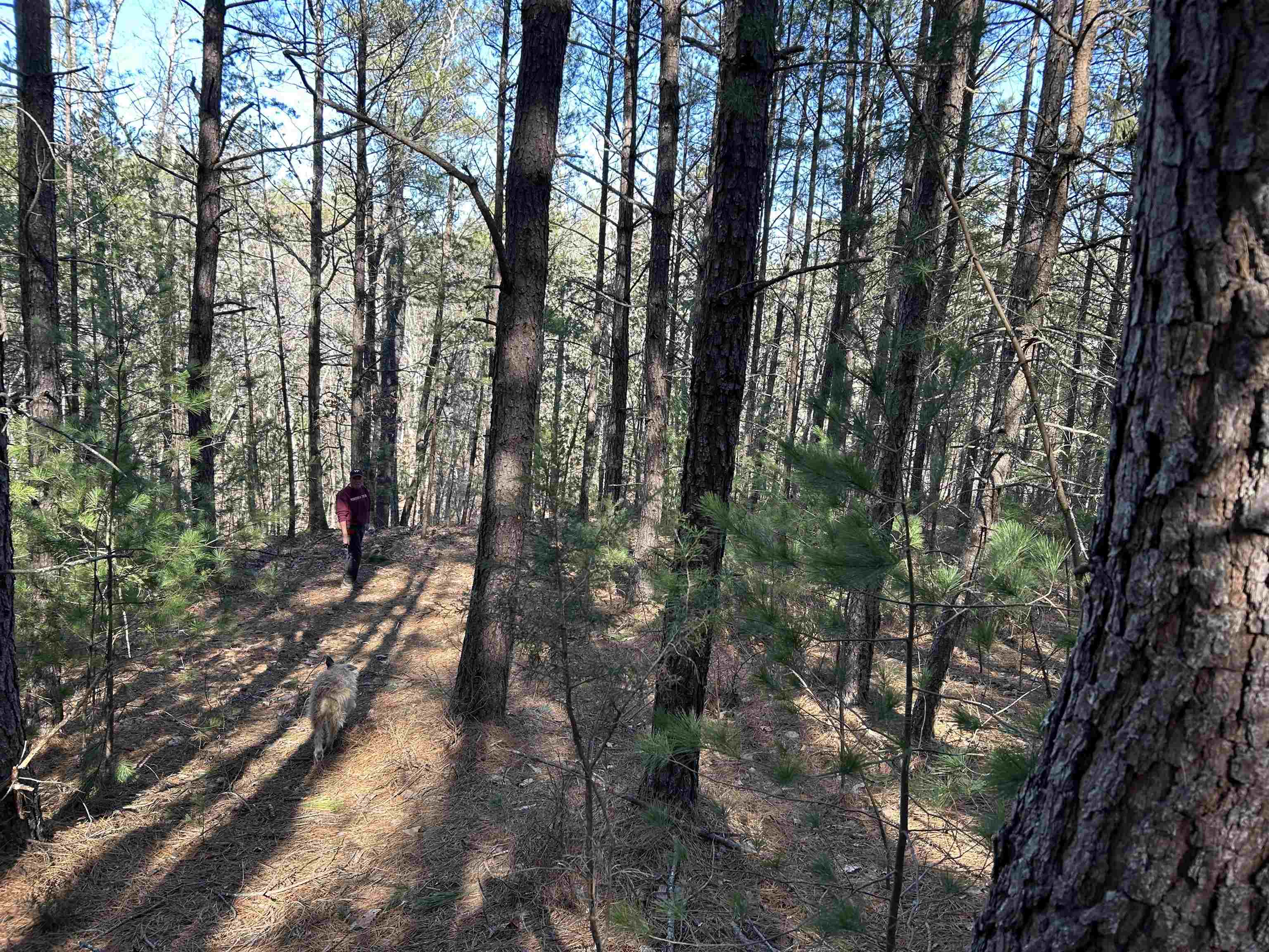 4266 Craig Creek Road