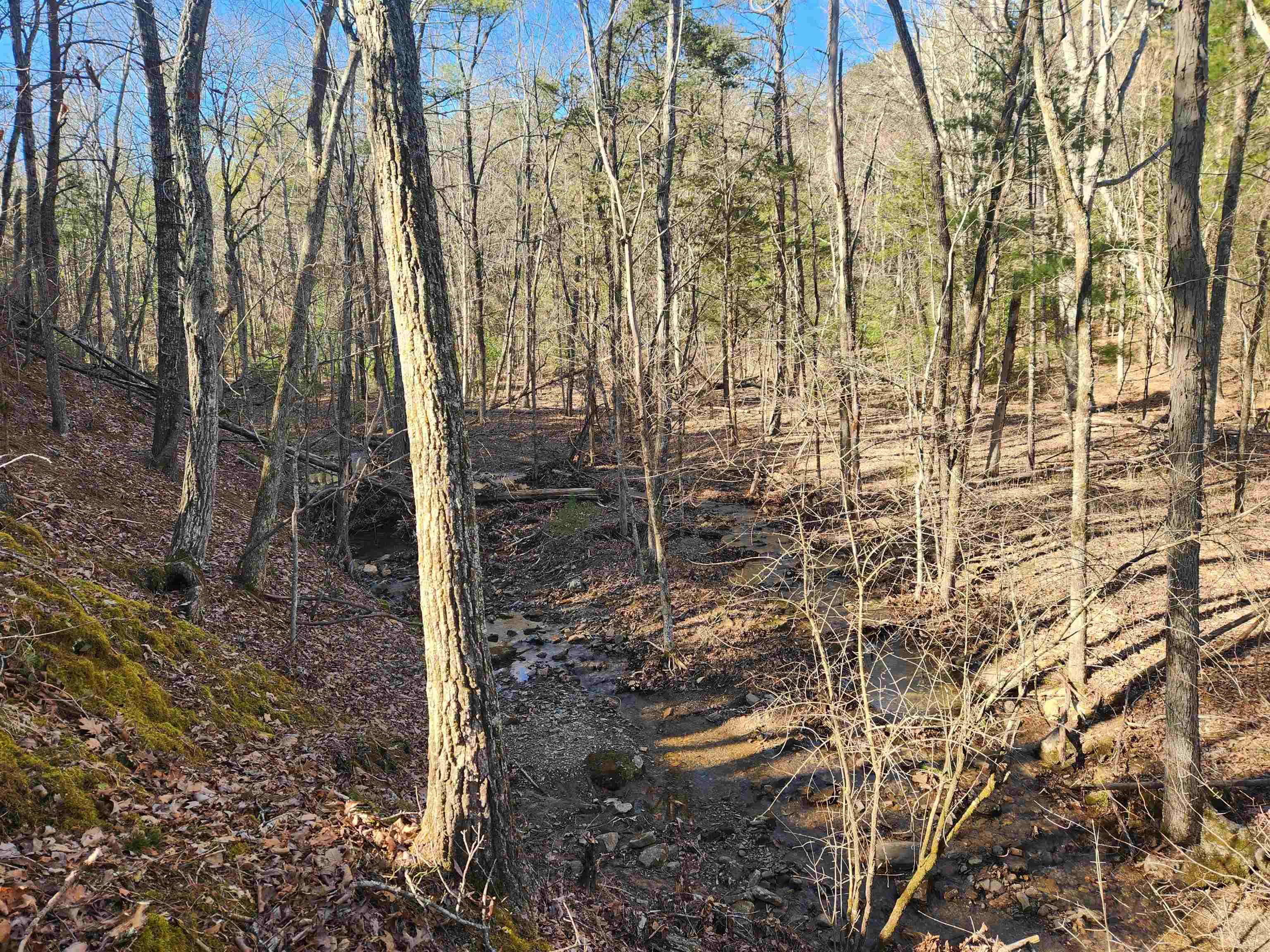 4266 Craig Creek Road