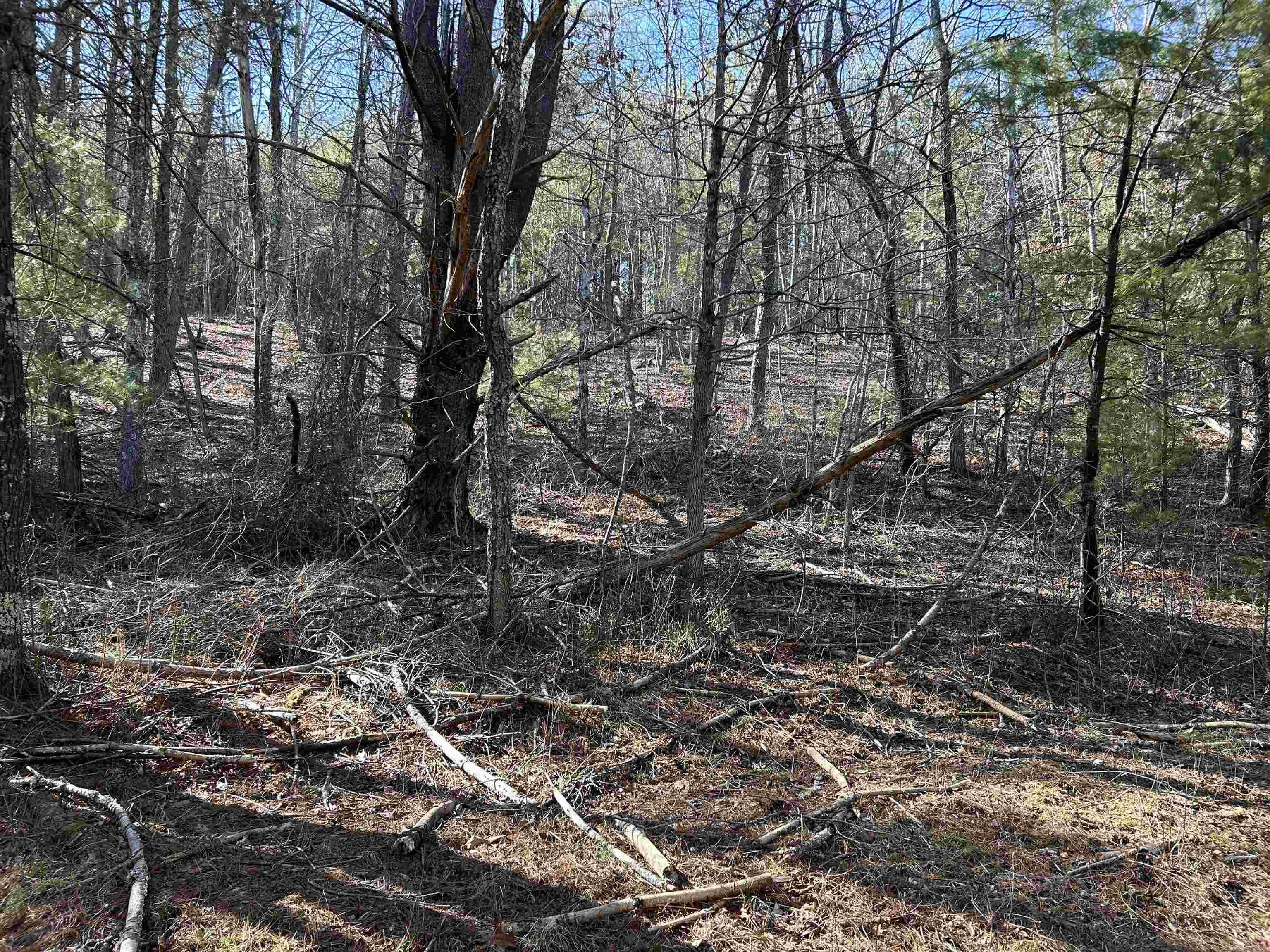 4266 Craig Creek Road