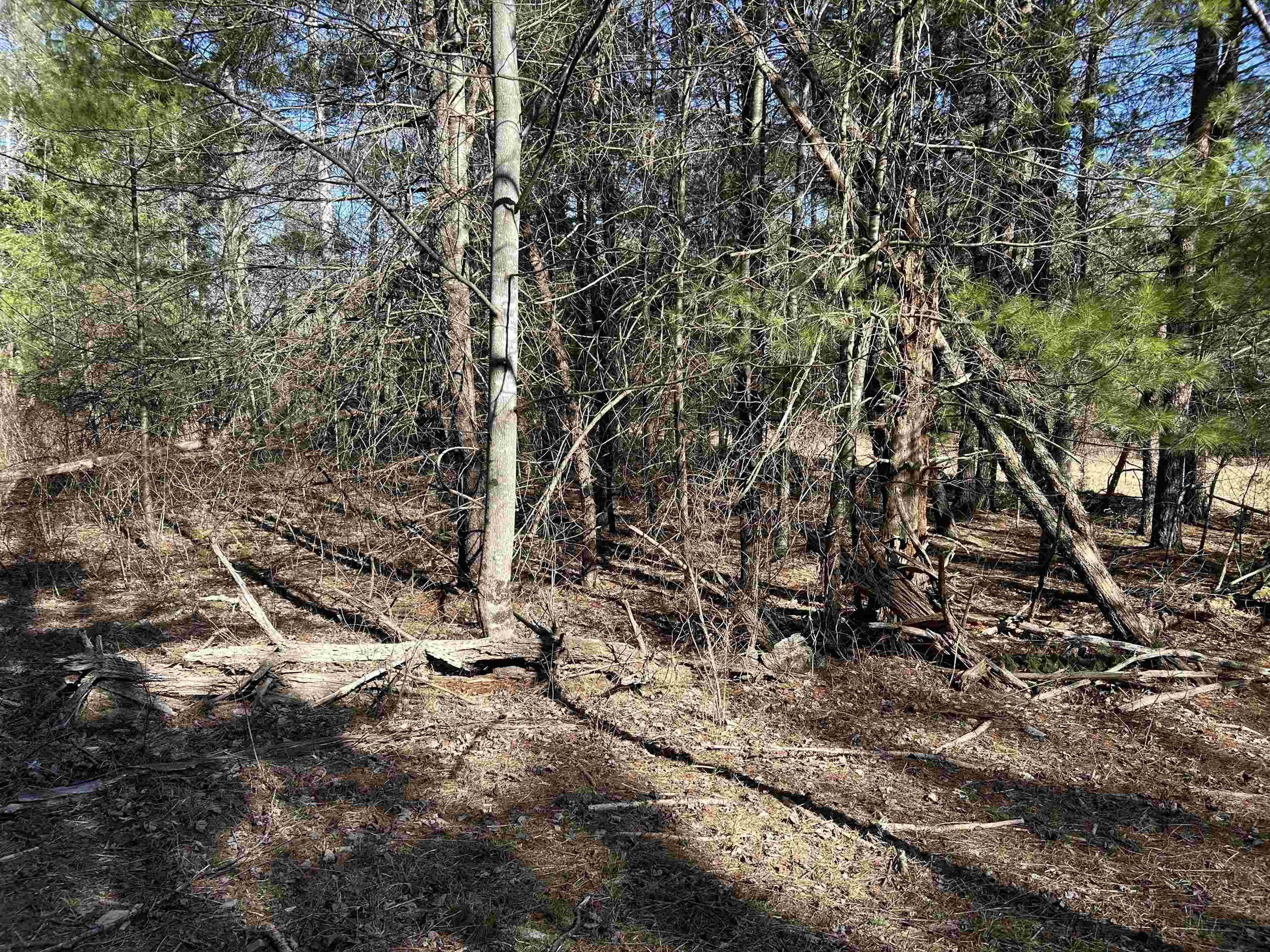 4266 Craig Creek Road