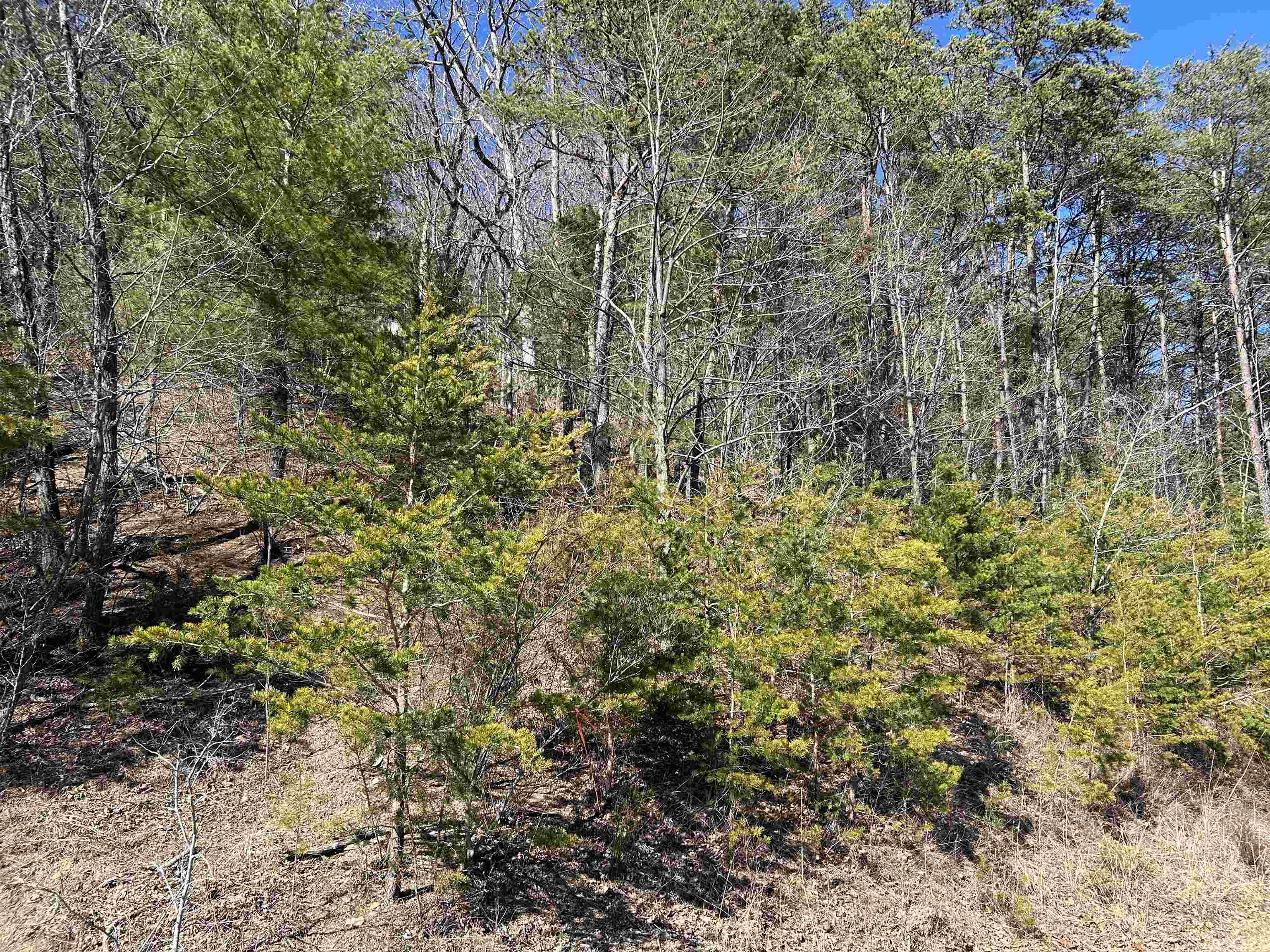 4266 Craig Creek Road