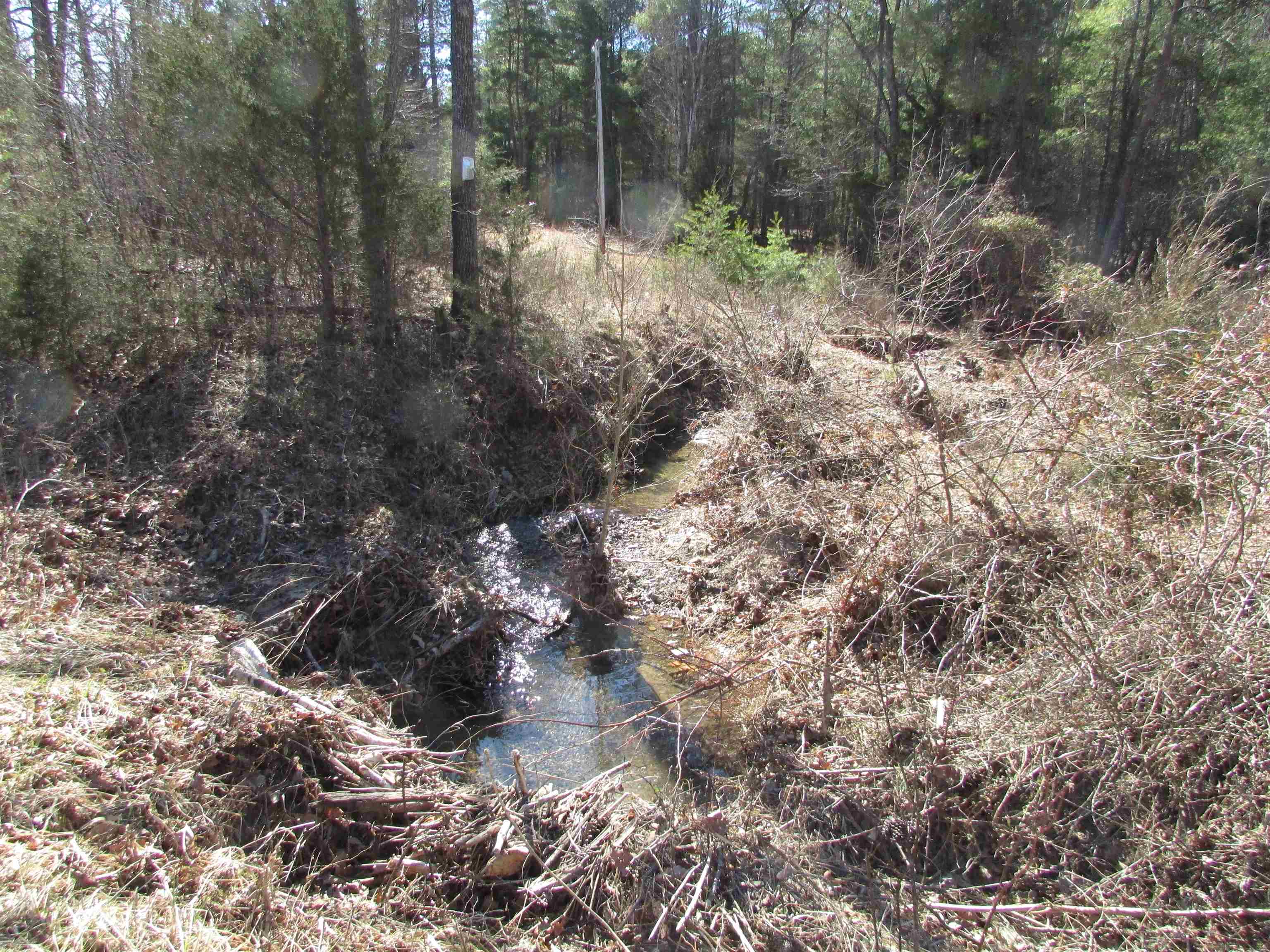 4266 Craig Creek Road