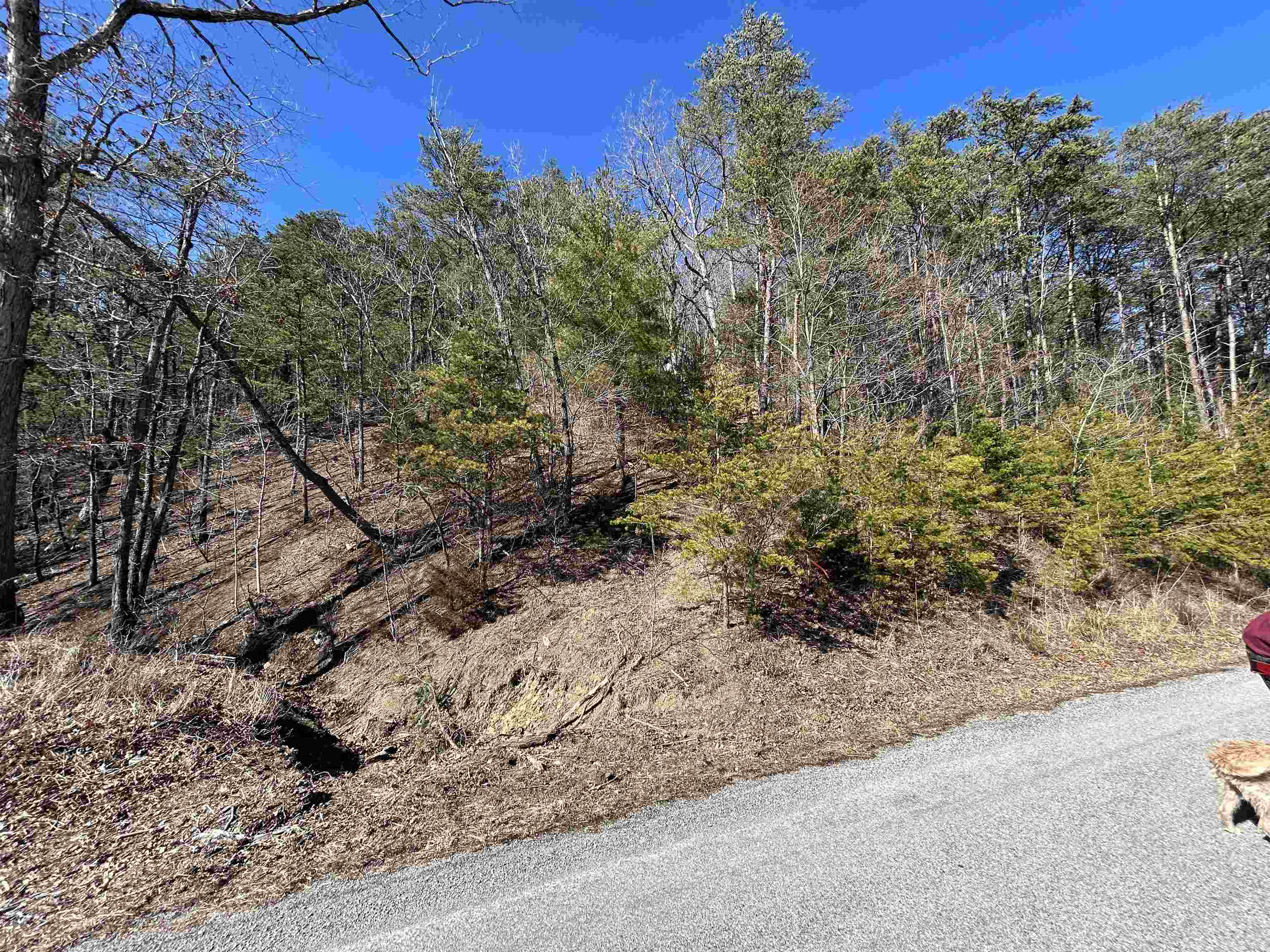 4266 Craig Creek Road