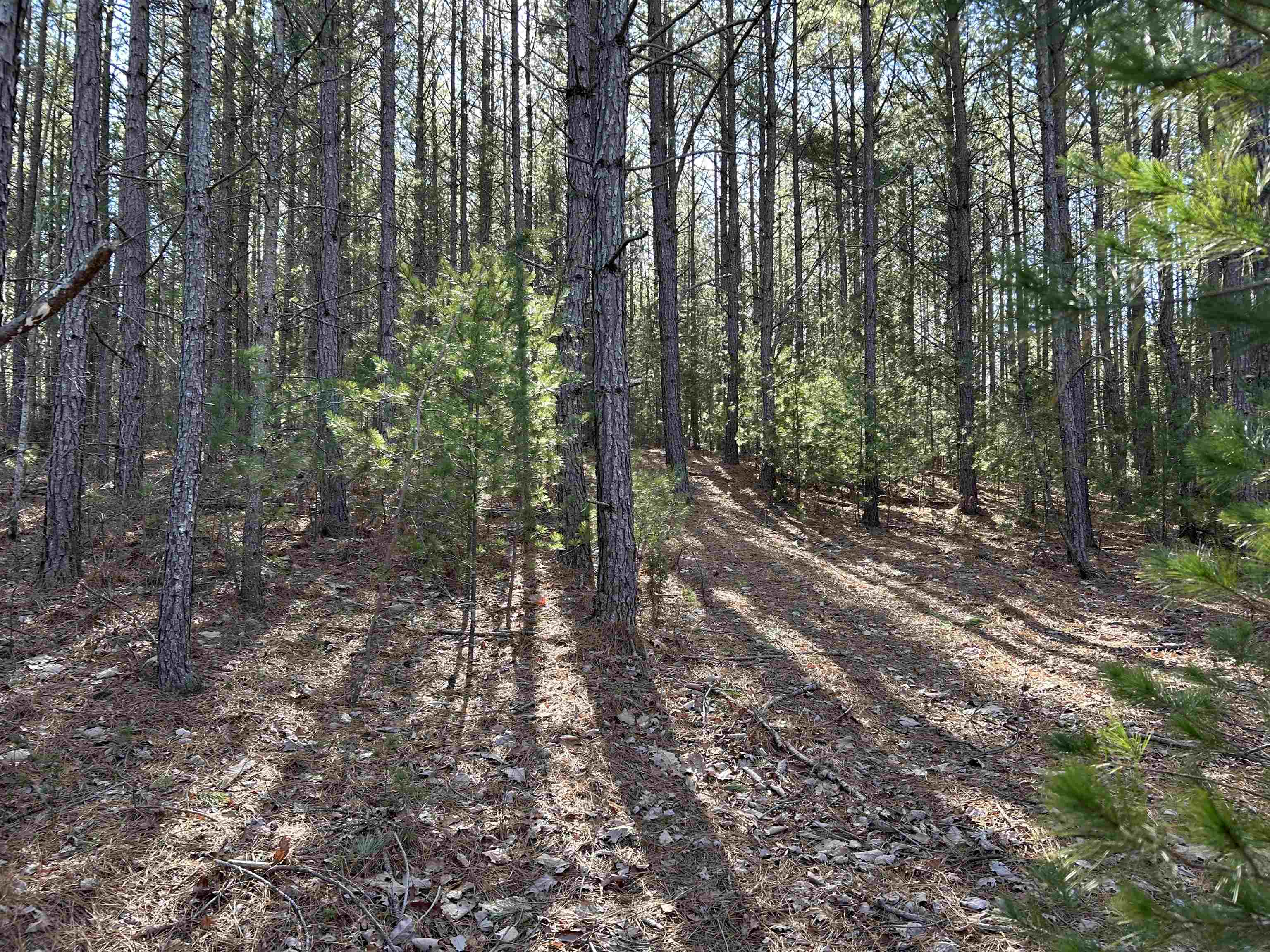 4266 Craig Creek Road