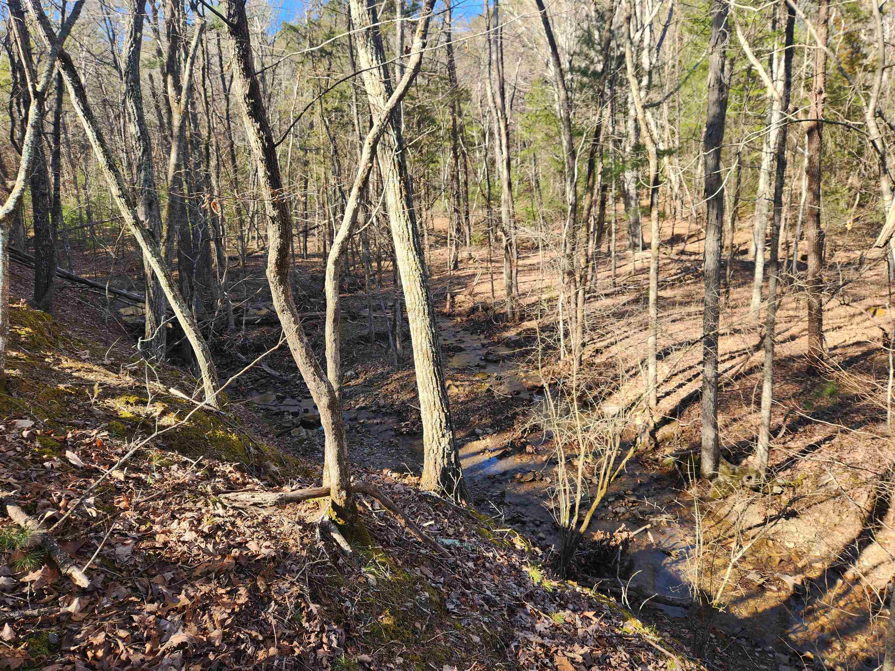 4266 Craig Creek Road