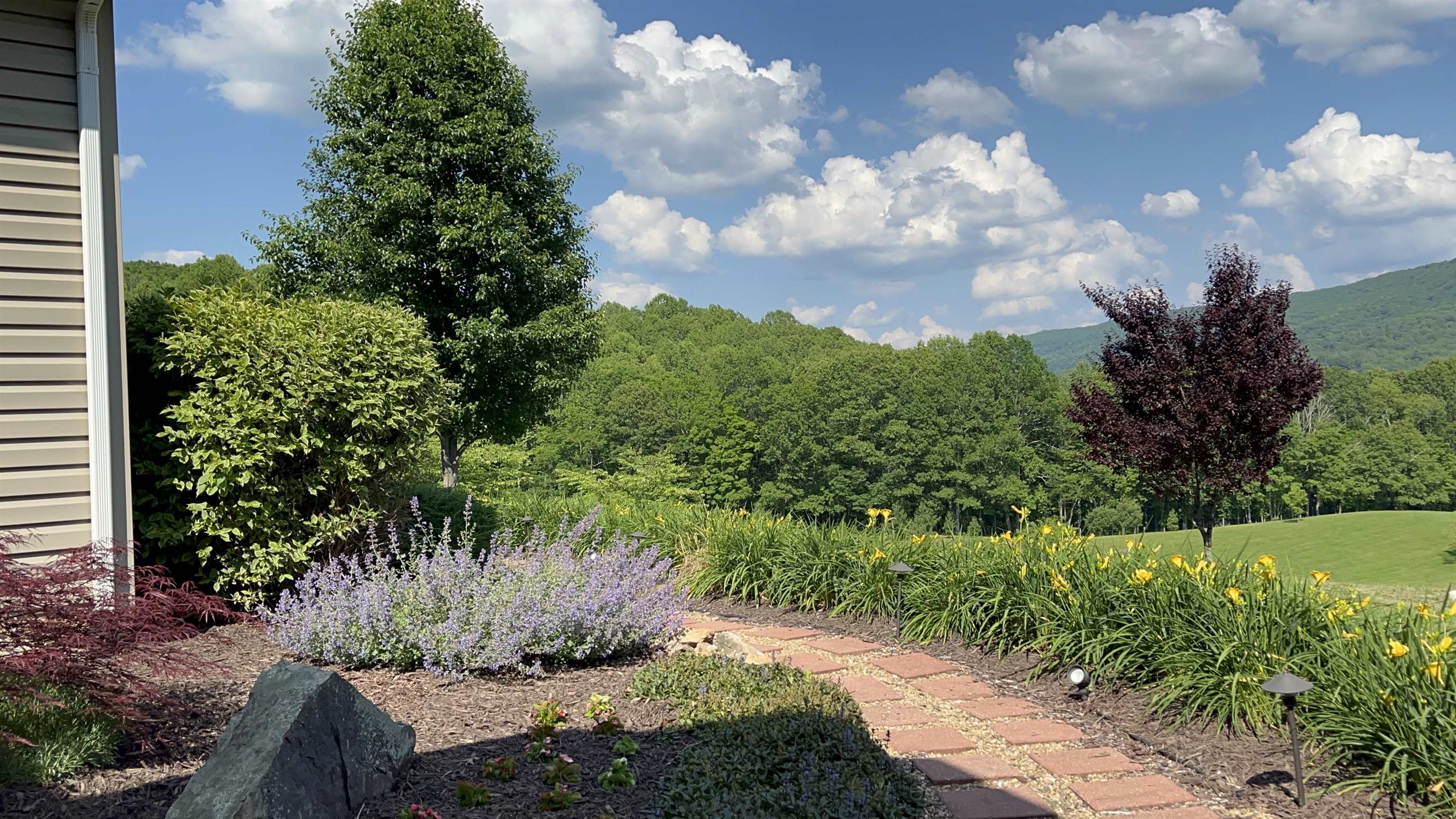 317 Cumberland Gap Road