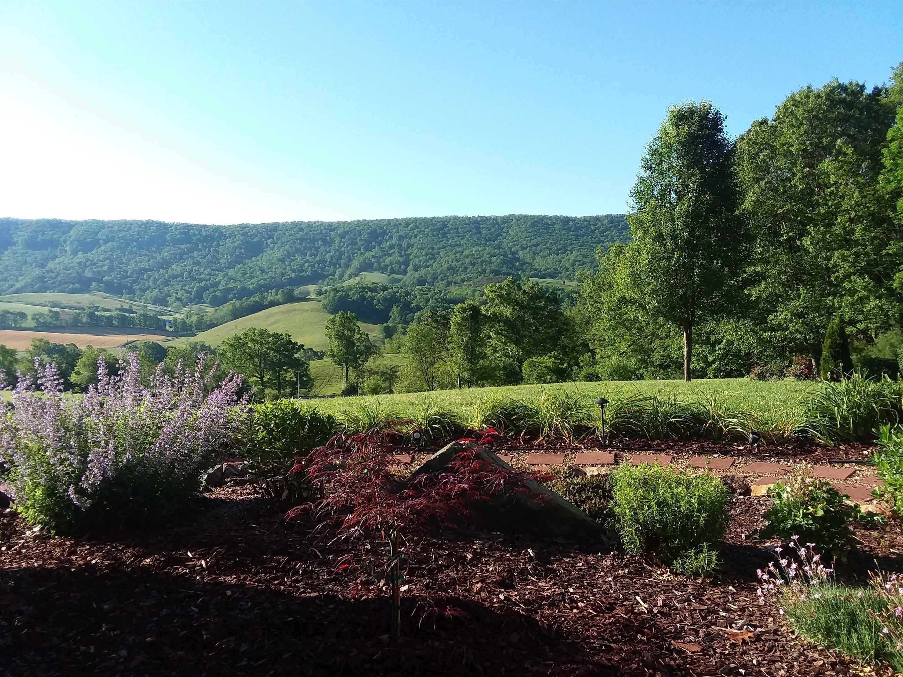 317 Cumberland Gap Road