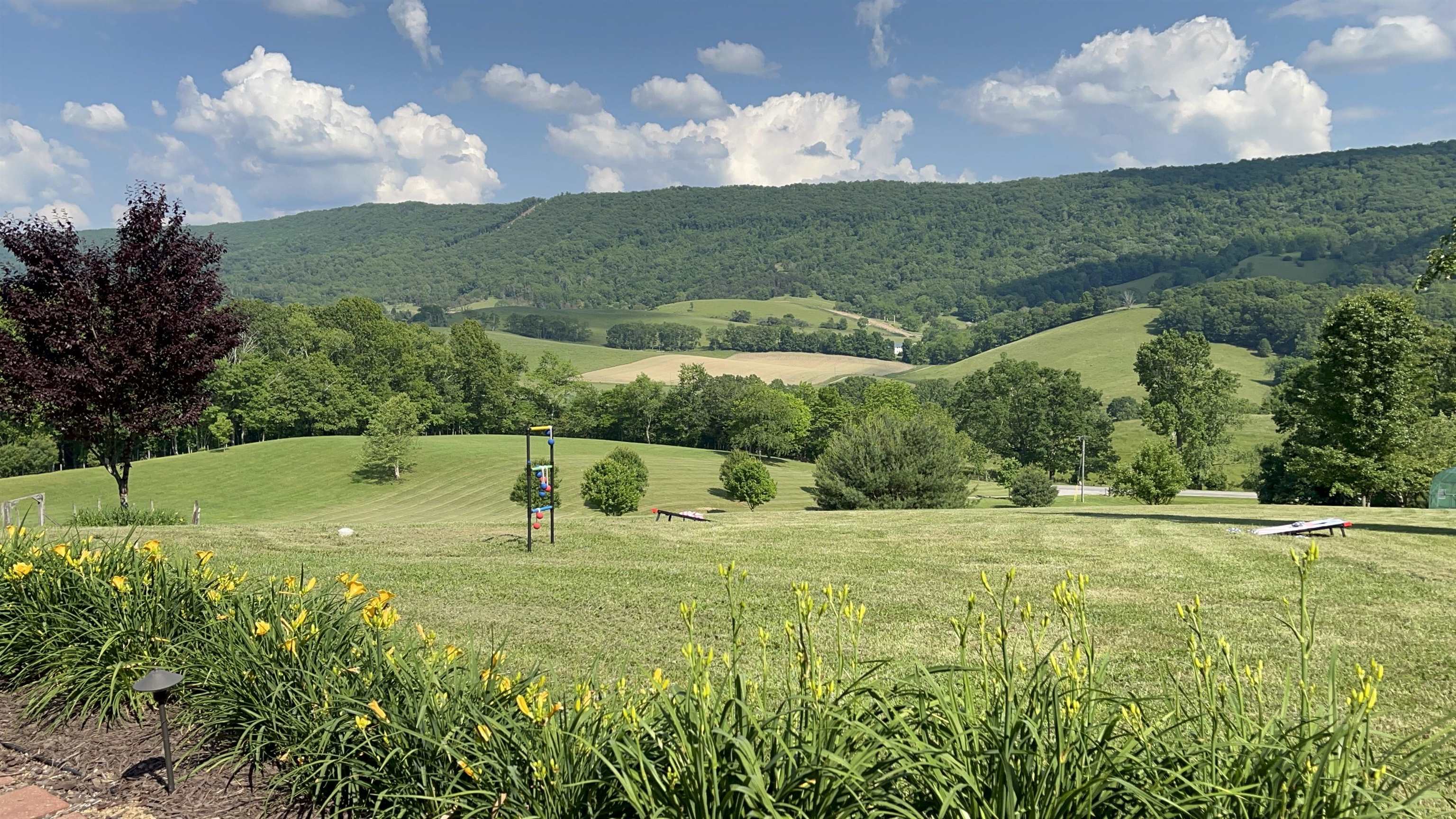 317 Cumberland Gap Road