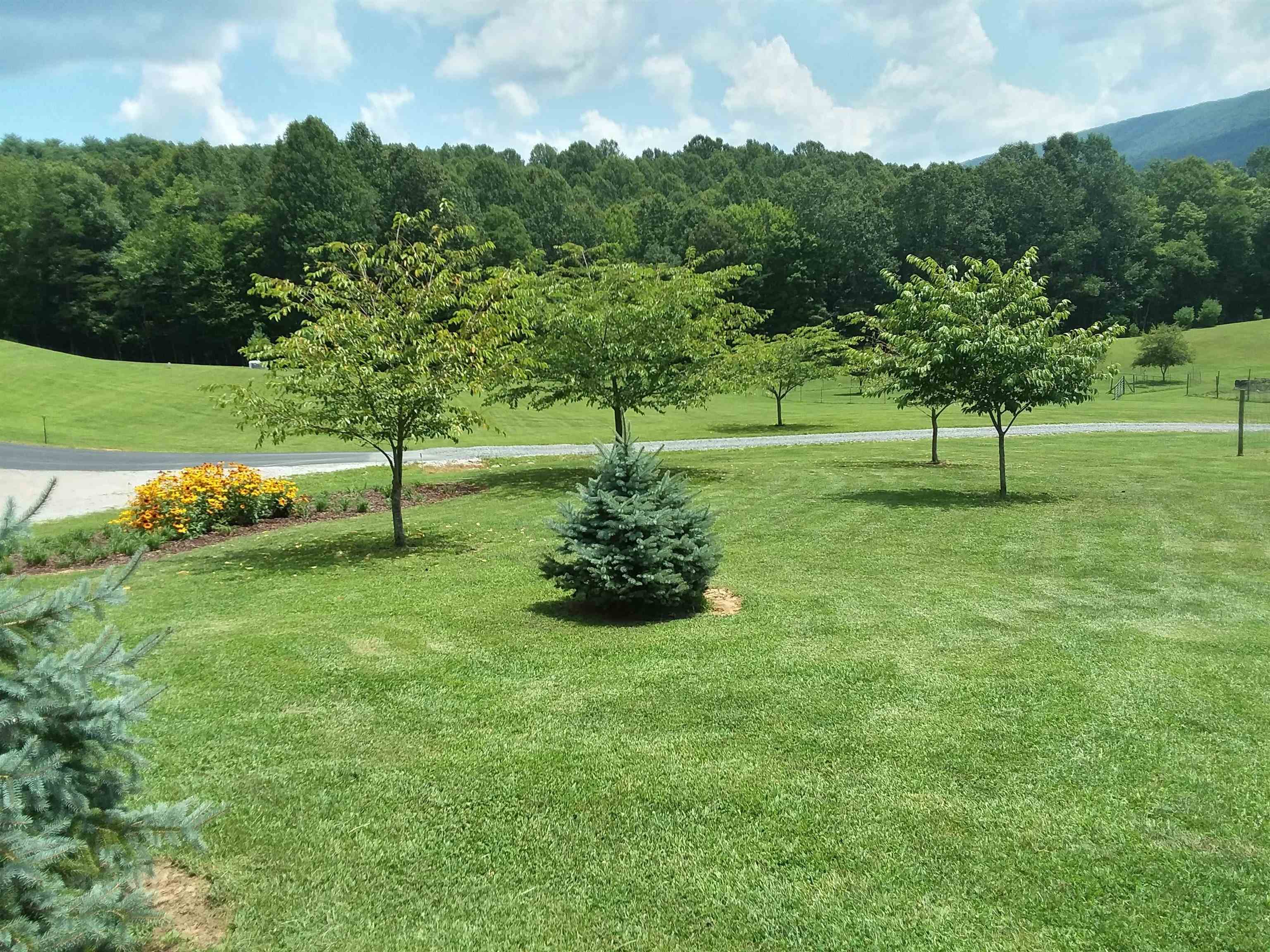 317 Cumberland Gap Road