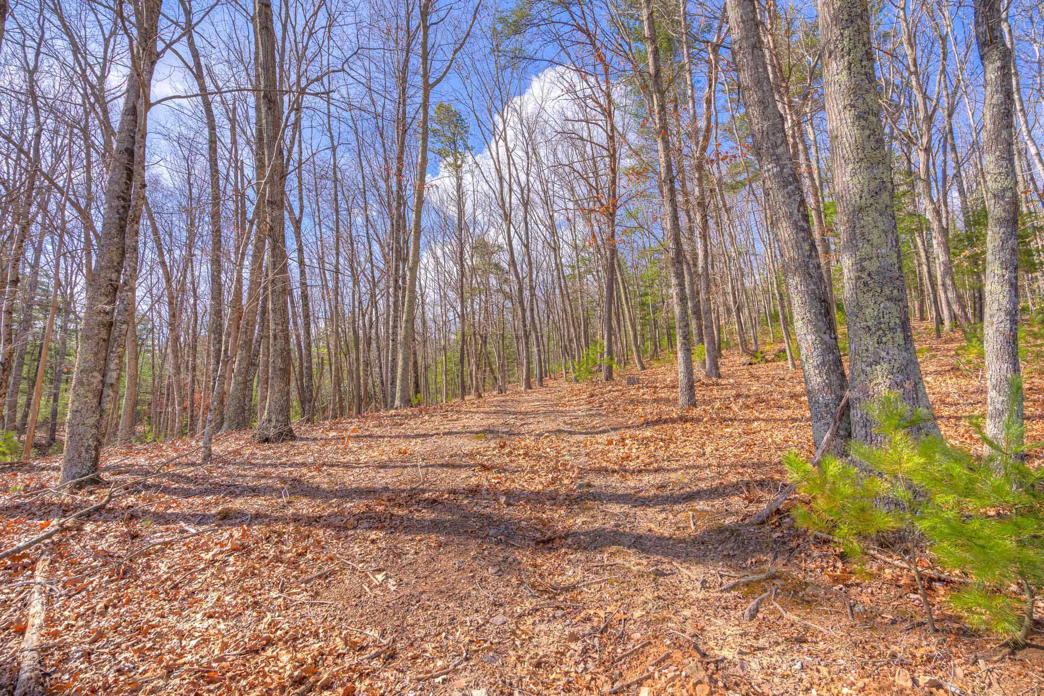 317 Cumberland Gap Road