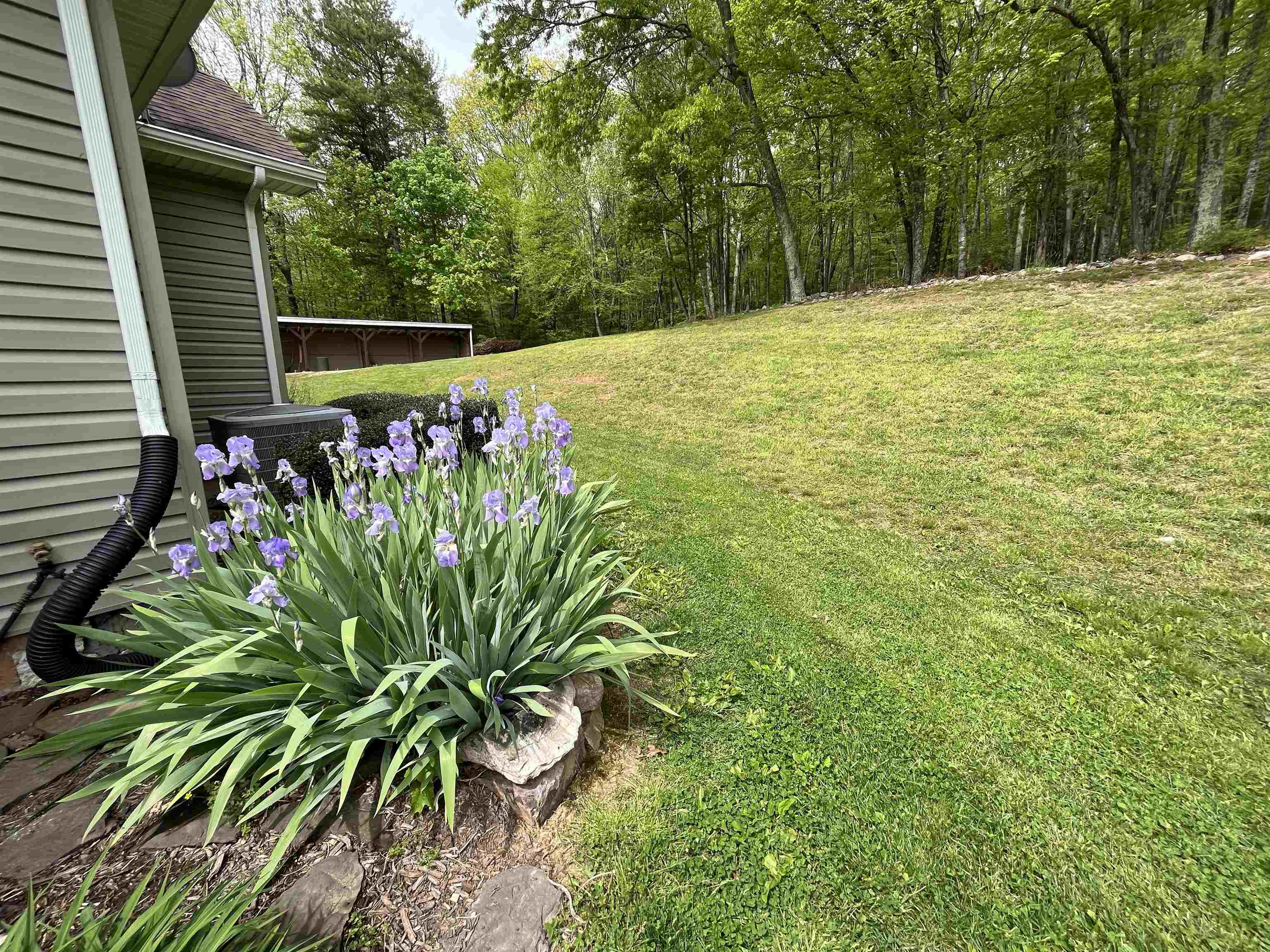 317 Cumberland Gap Road