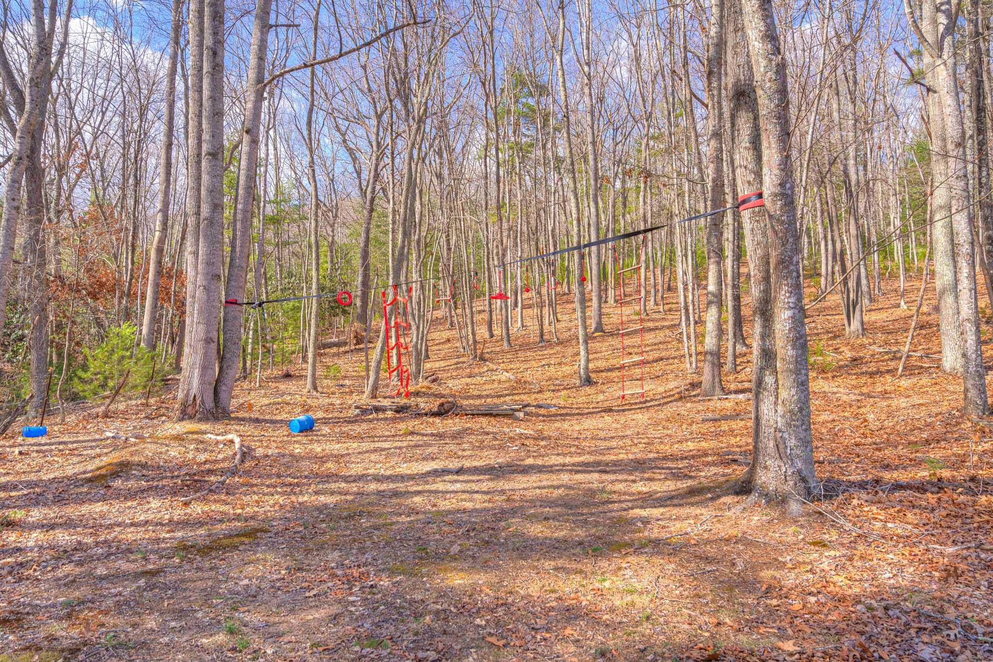 317 Cumberland Gap Road