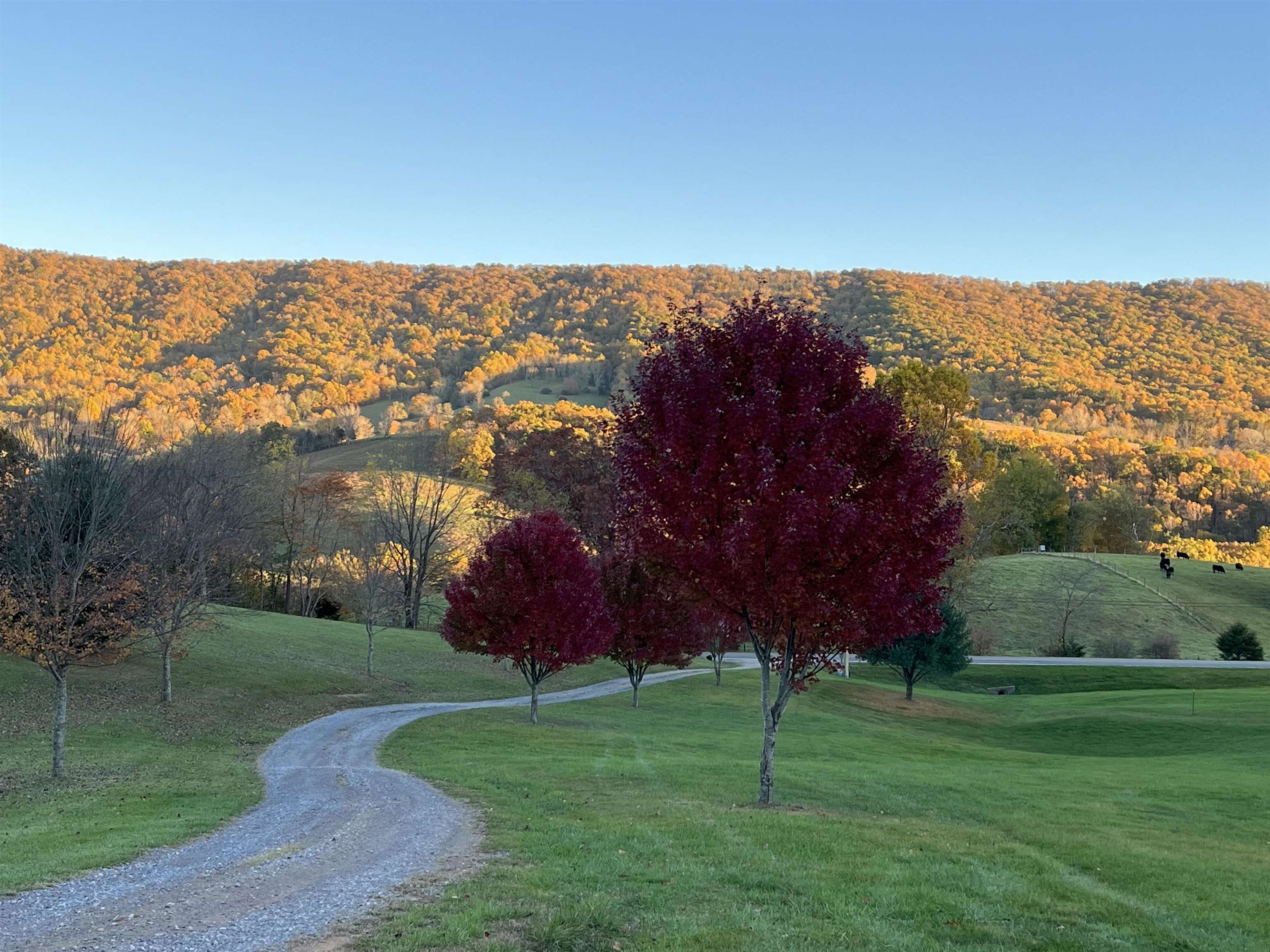 317 Cumberland Gap Road