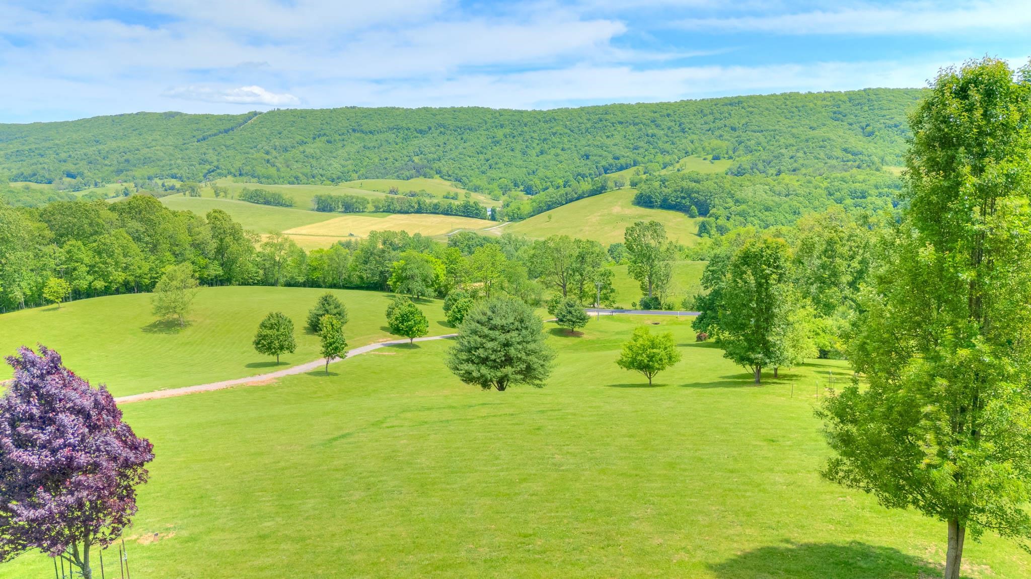 317 Cumberland Gap Road