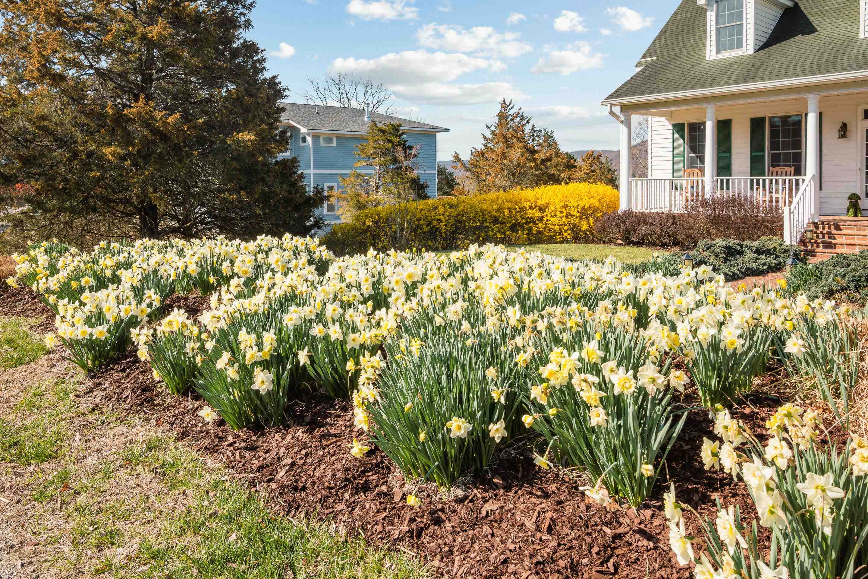 1745 Mountainside Drive