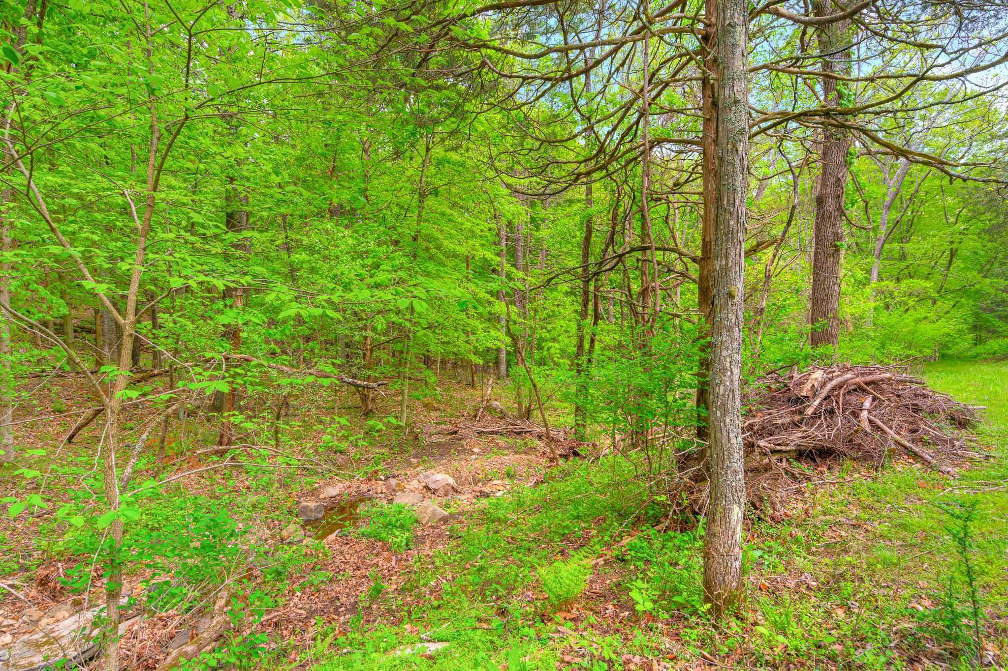 3631 Mount Tabor Road