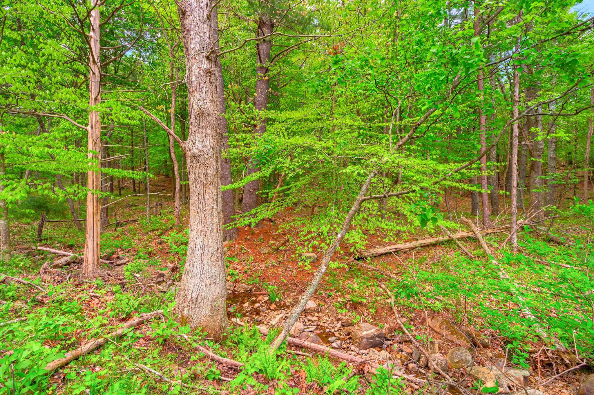 3631 Mount Tabor Road