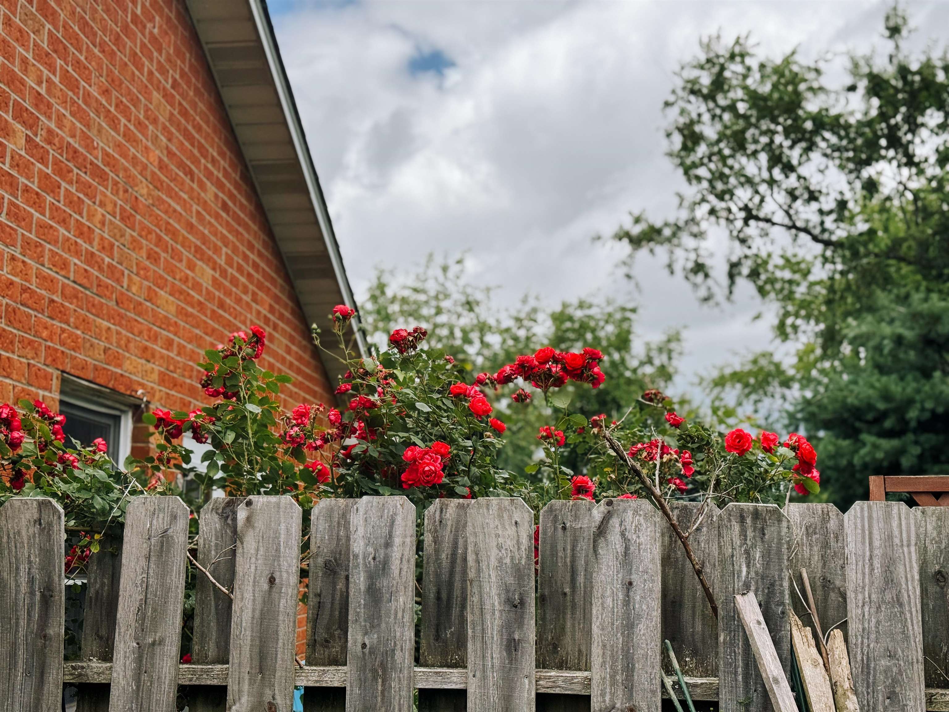 1450 & 1452 Sandy Circle