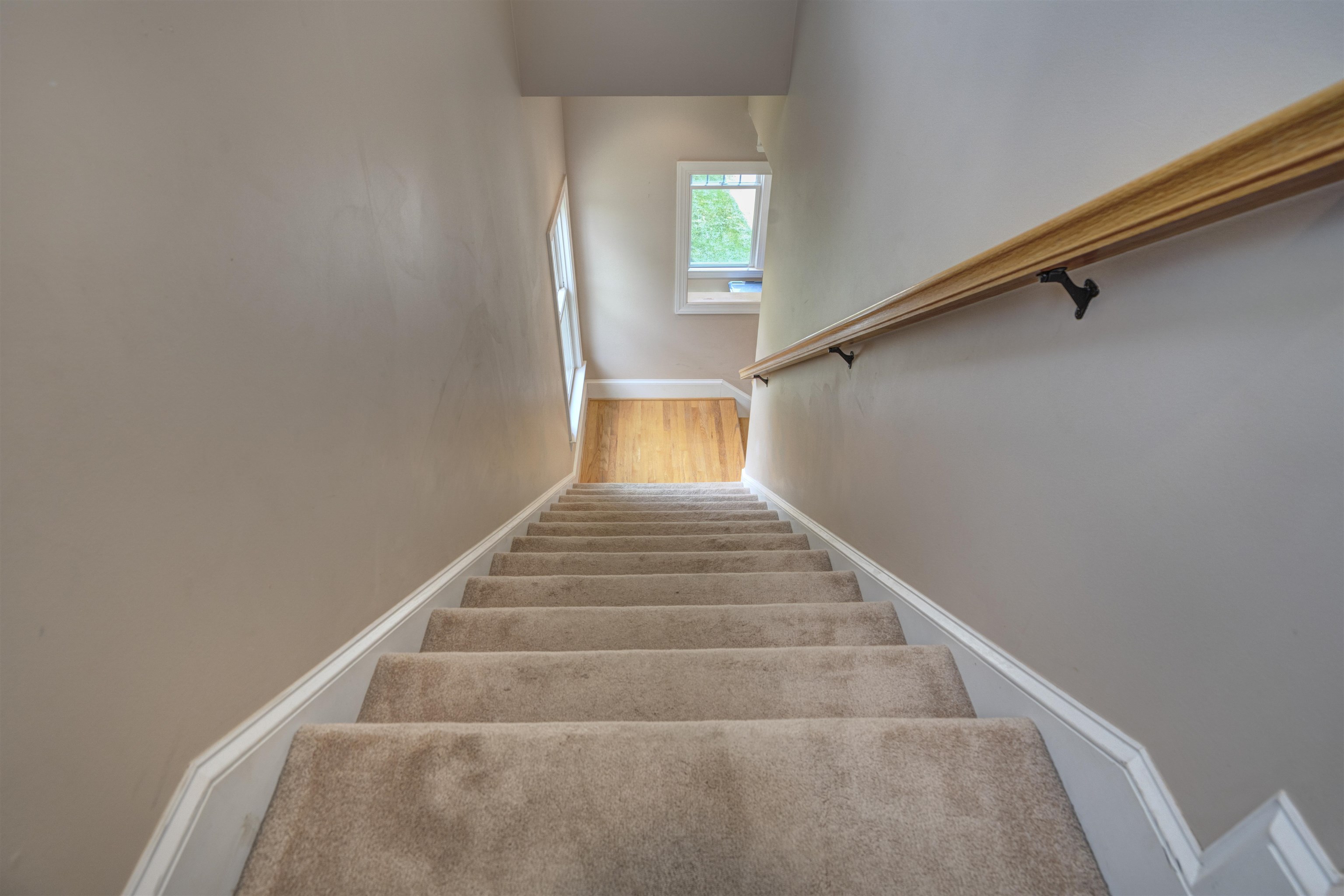 1803 HONEYSUCKLE Drive