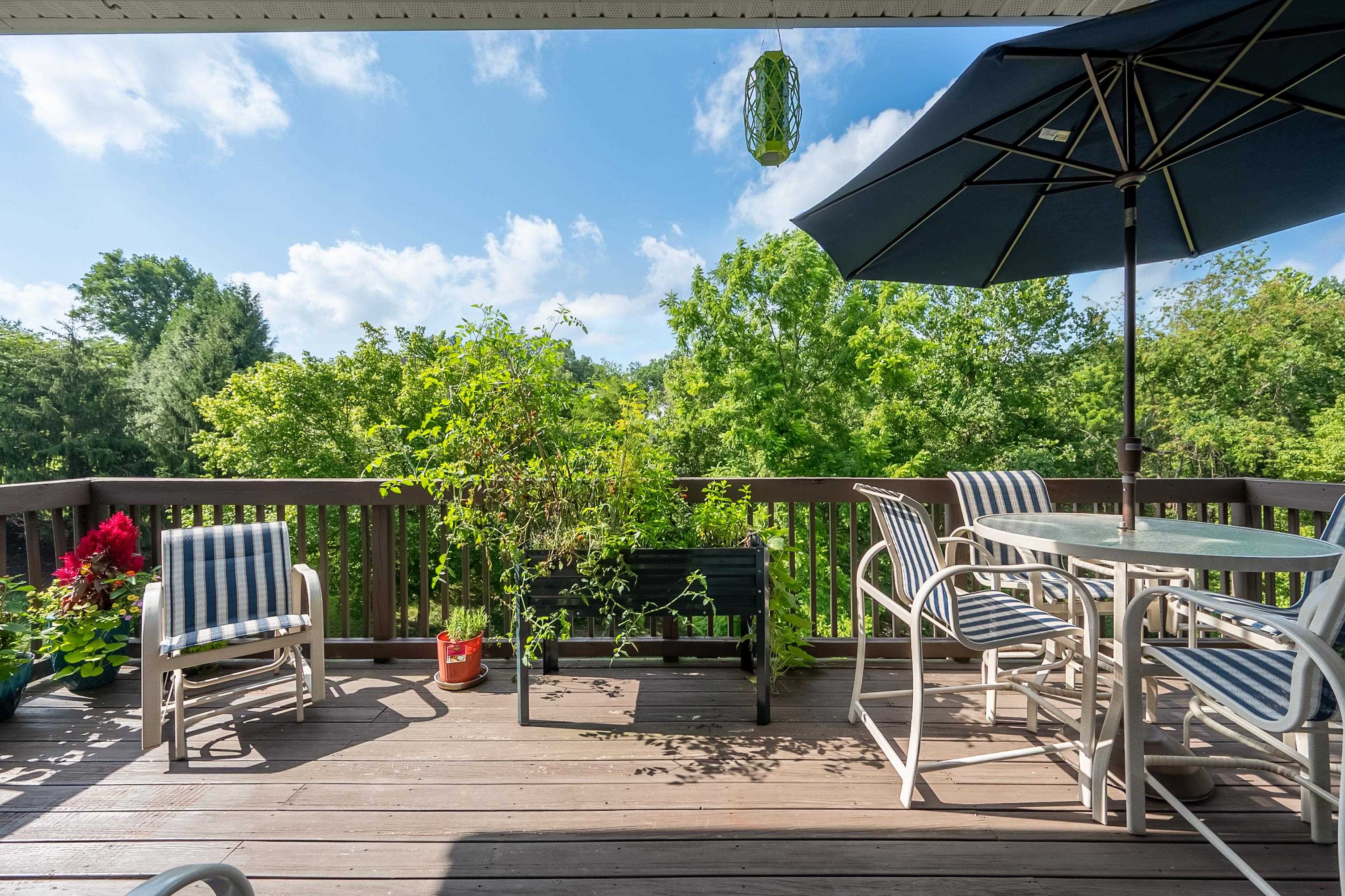 205 RIDGE Lane