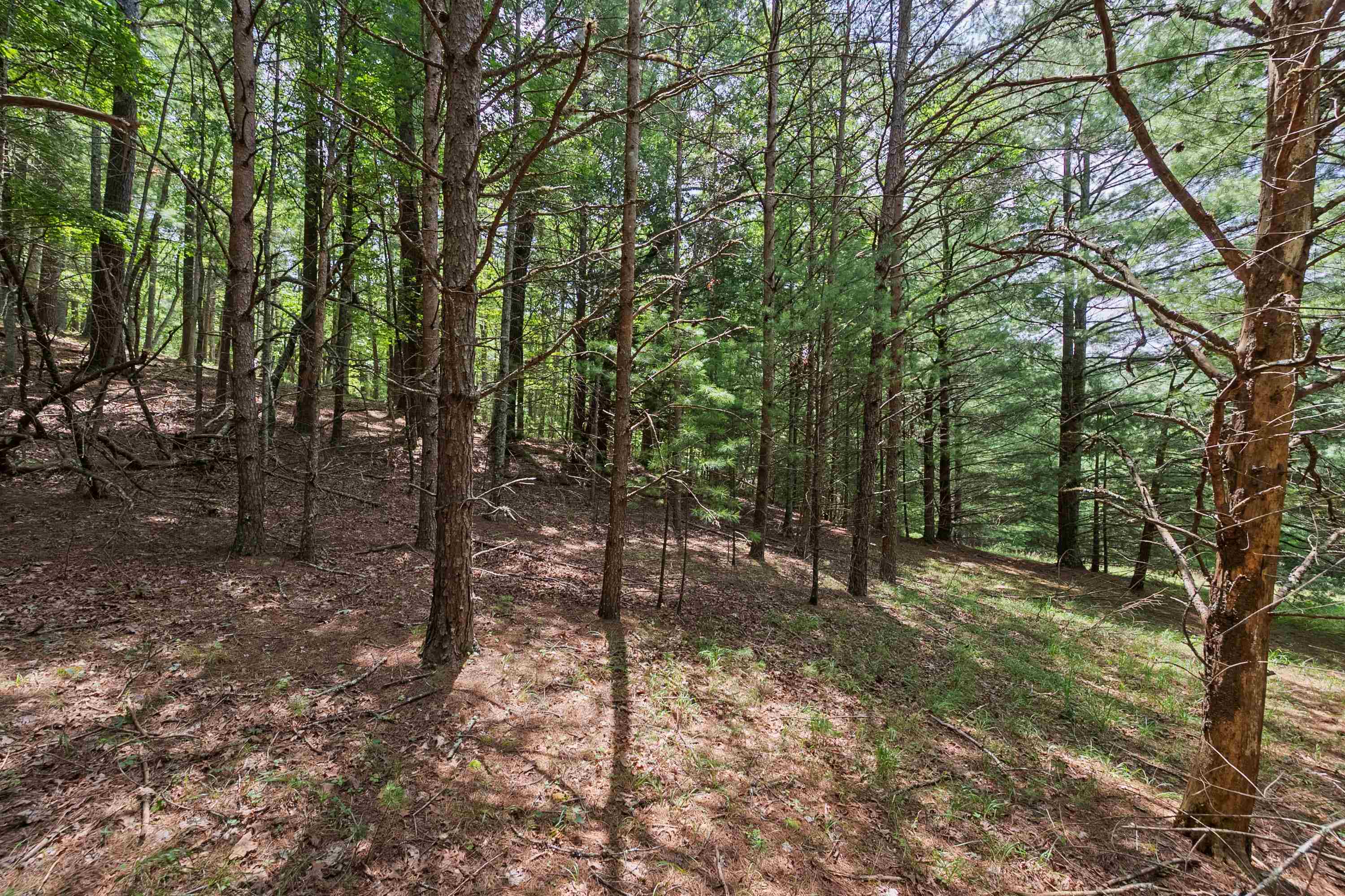 5690 and 5685 Robinson Tract Road
