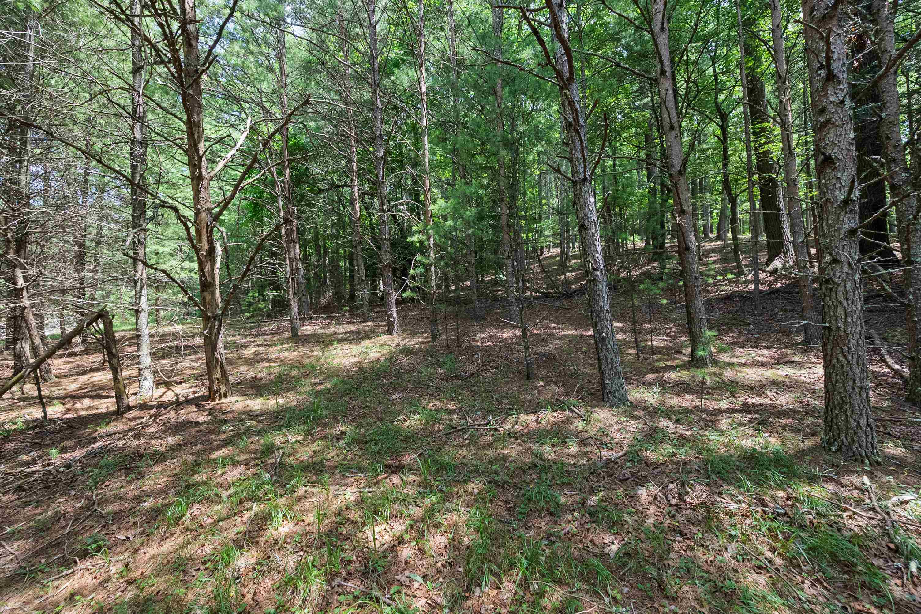 5690 and 5685 Robinson Tract Road