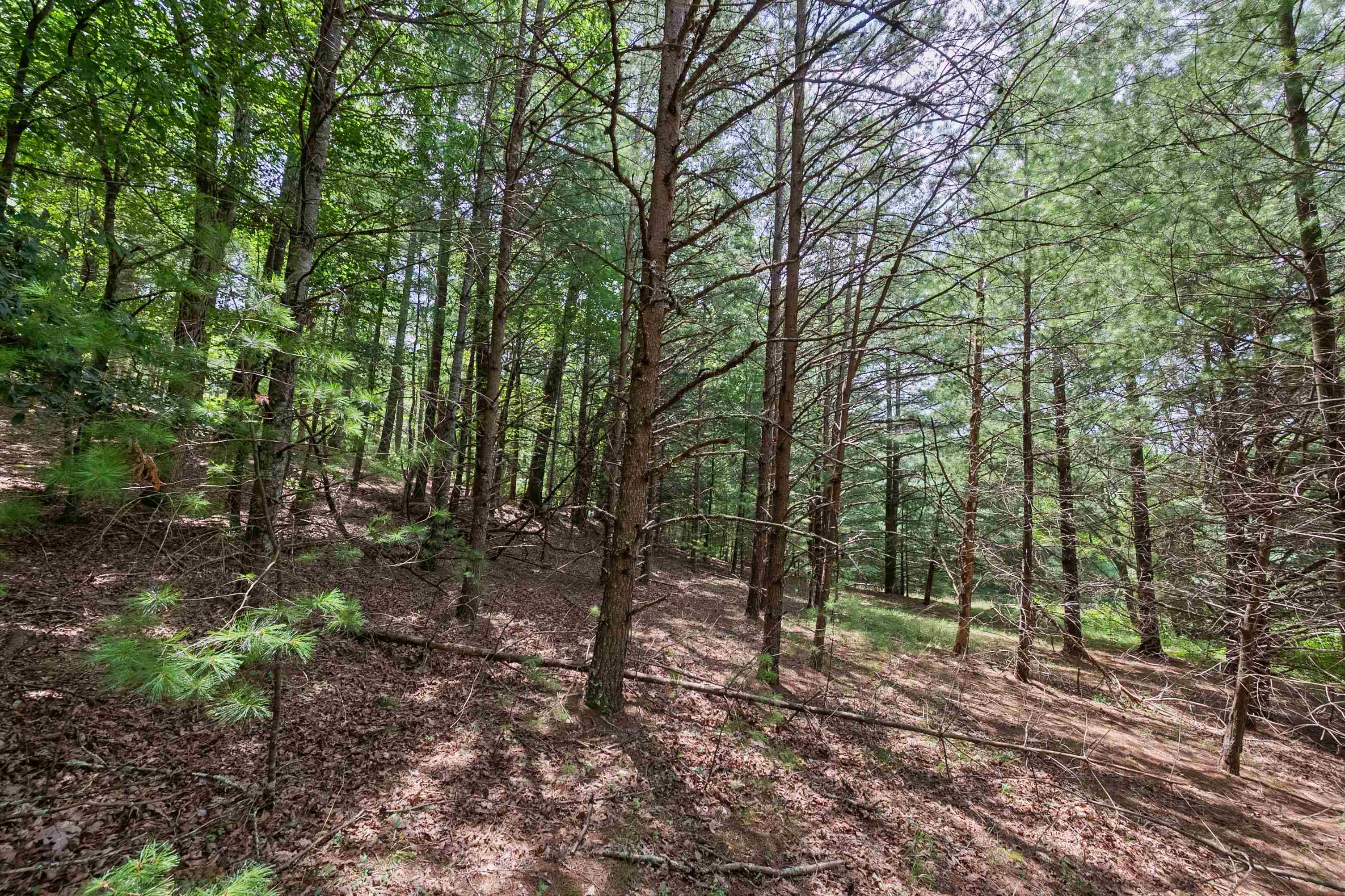 5690 and 5685 Robinson Tract Road
