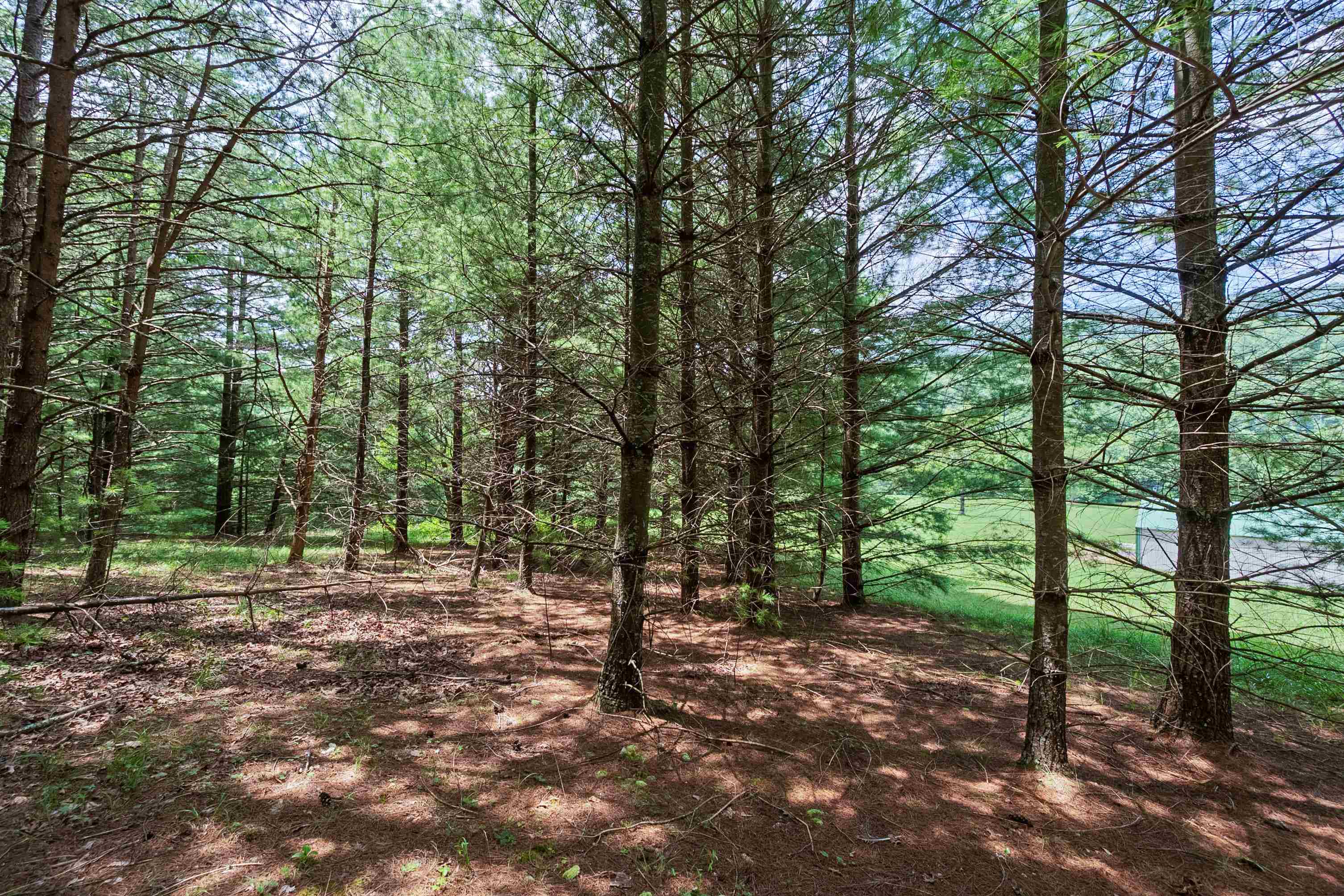 5690 and 5685 Robinson Tract Road