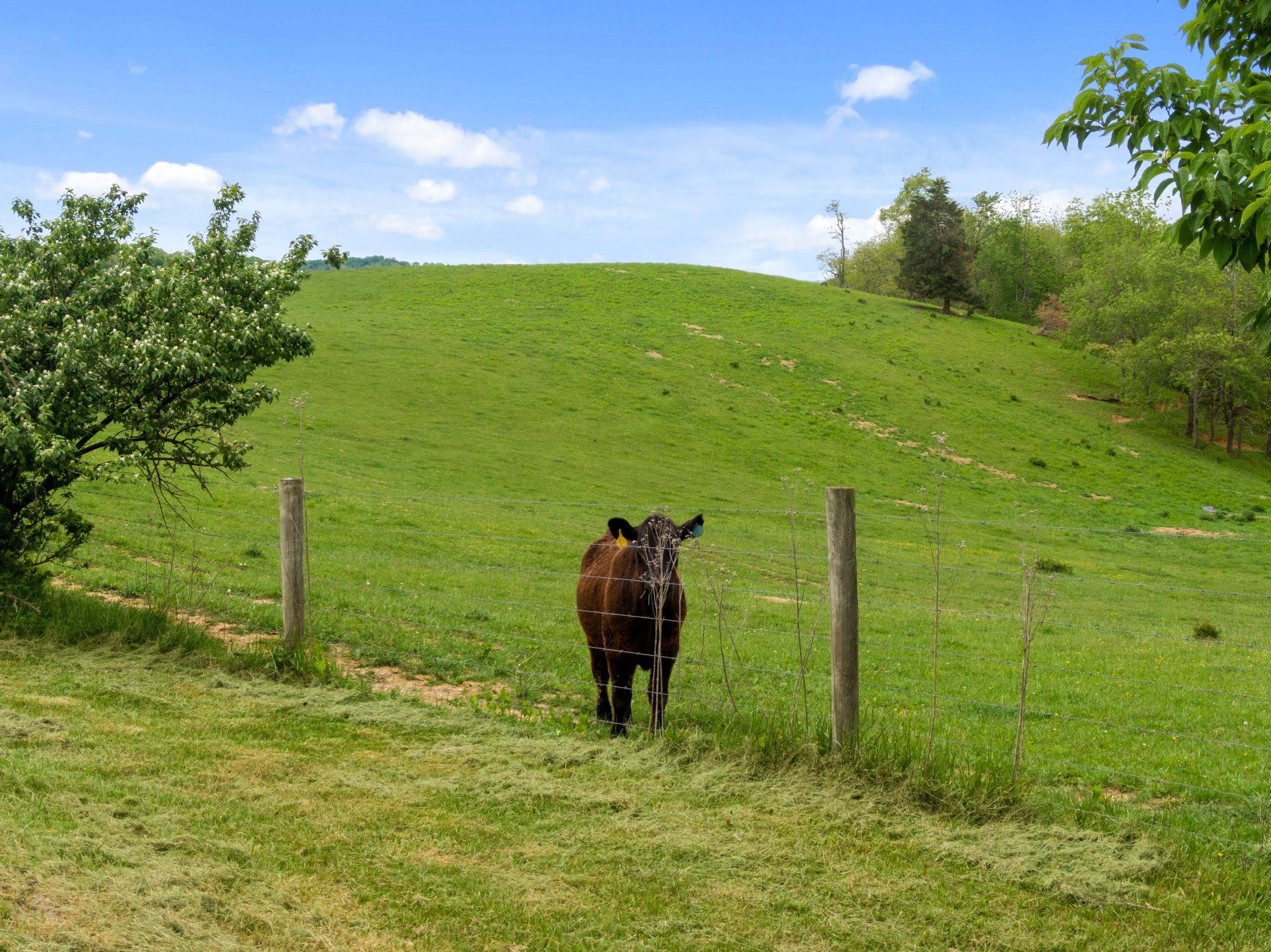 4051 Dry Valley Road