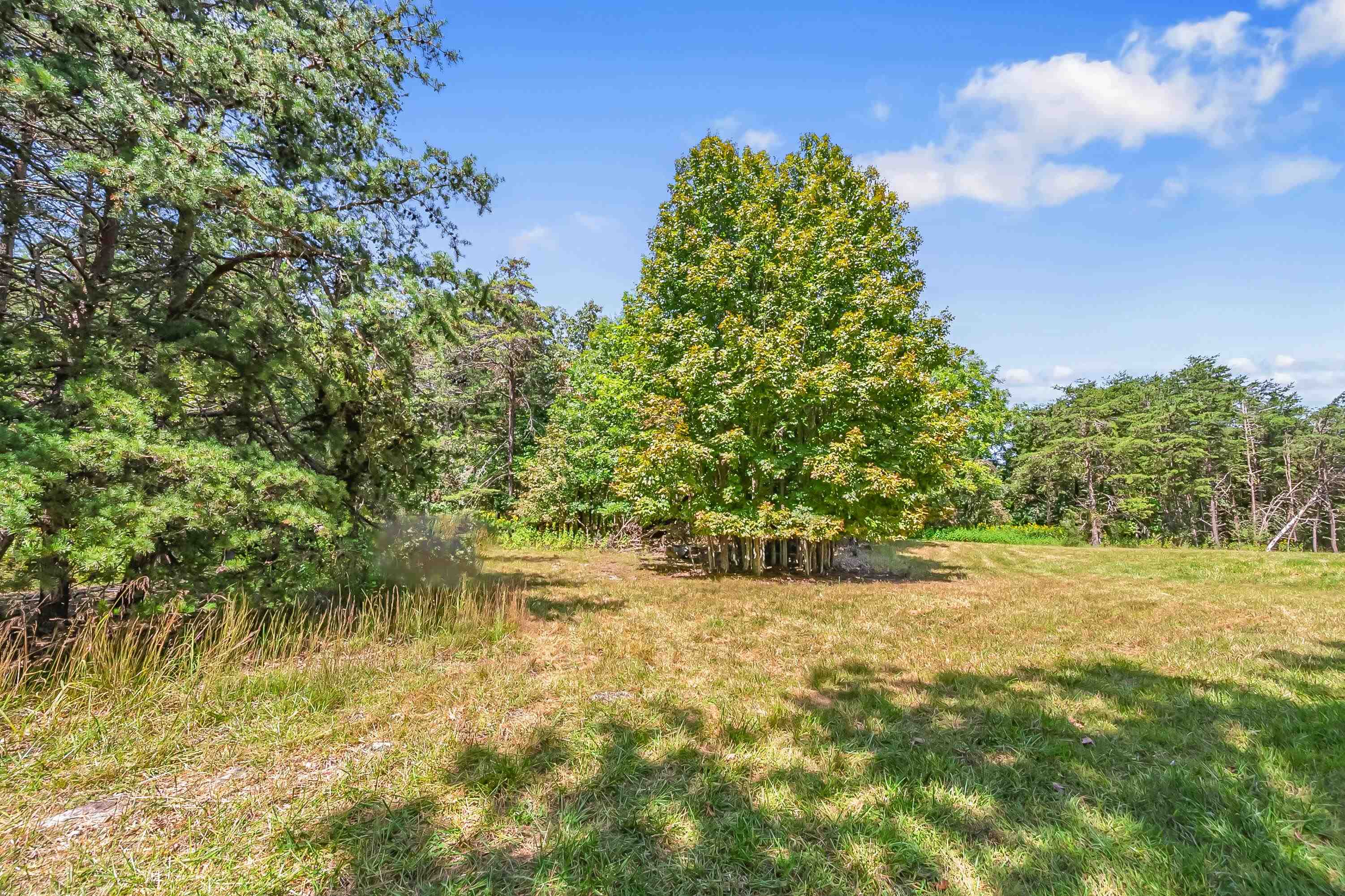 TBD Bishop Road