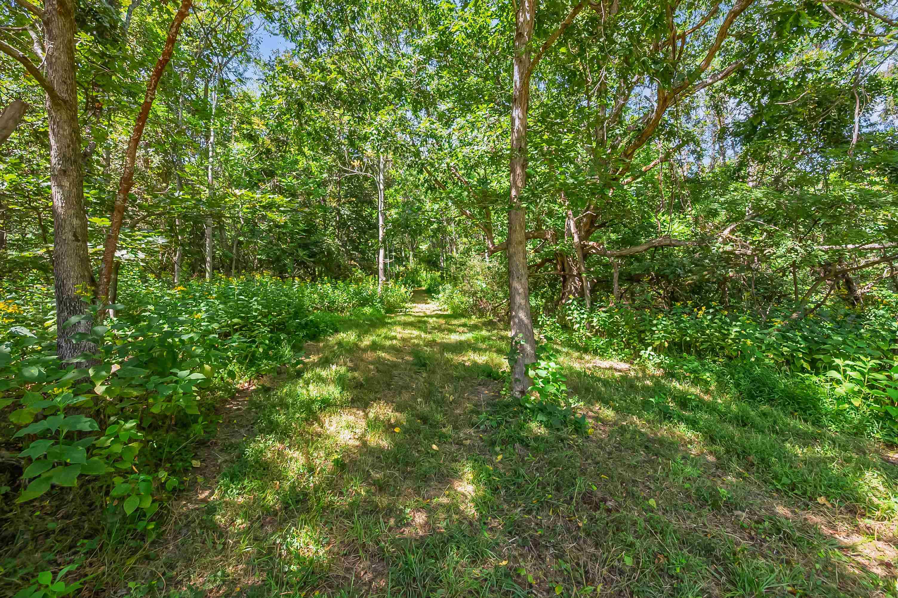 TBD Bishop Road