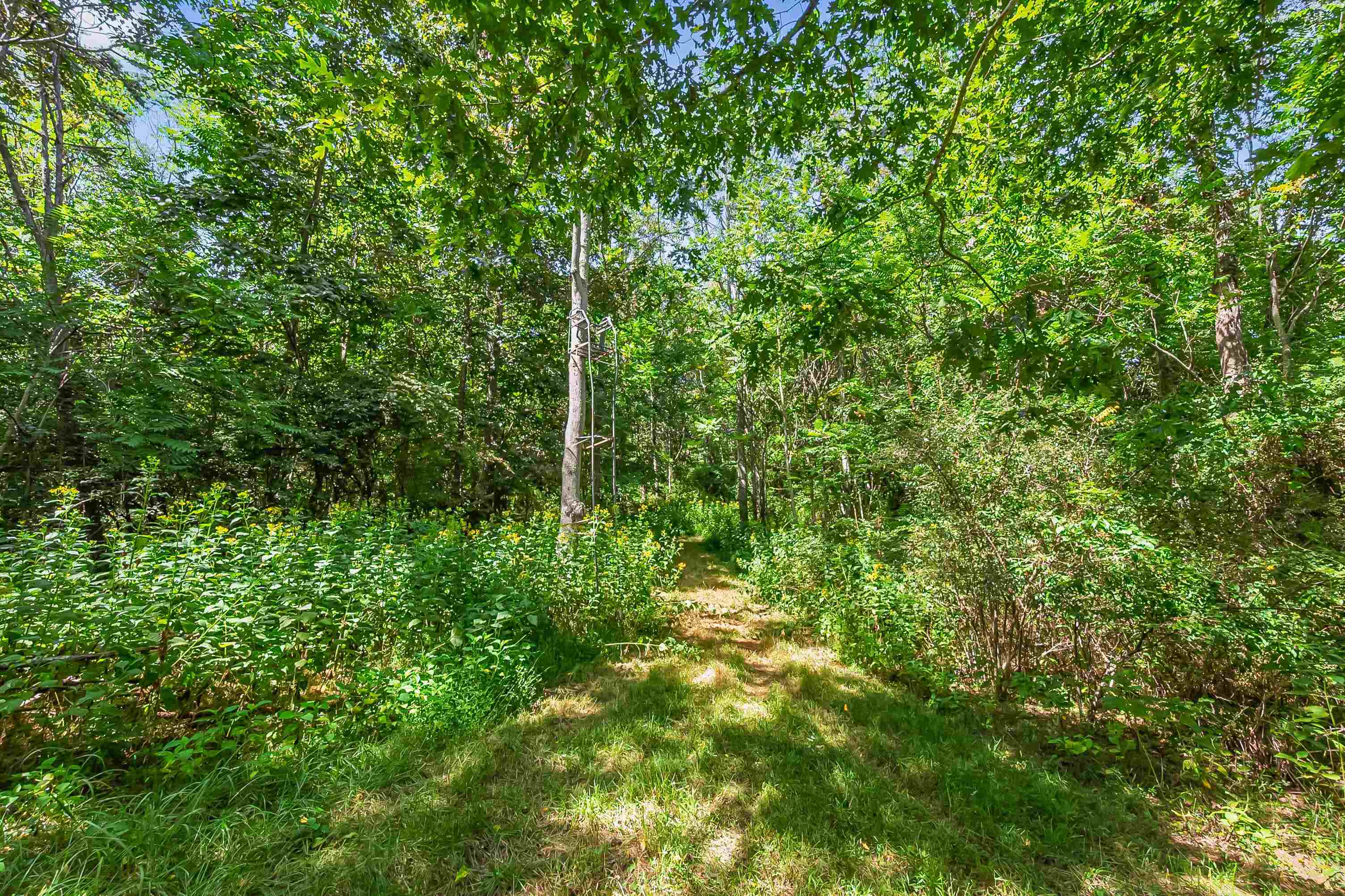 TBD Bishop Road