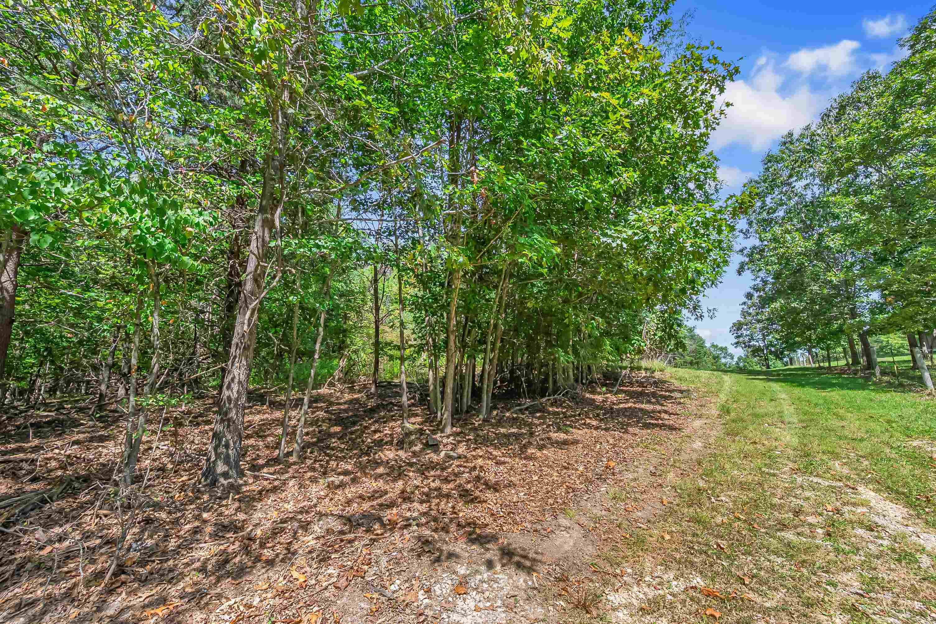 TBD Bishop Road